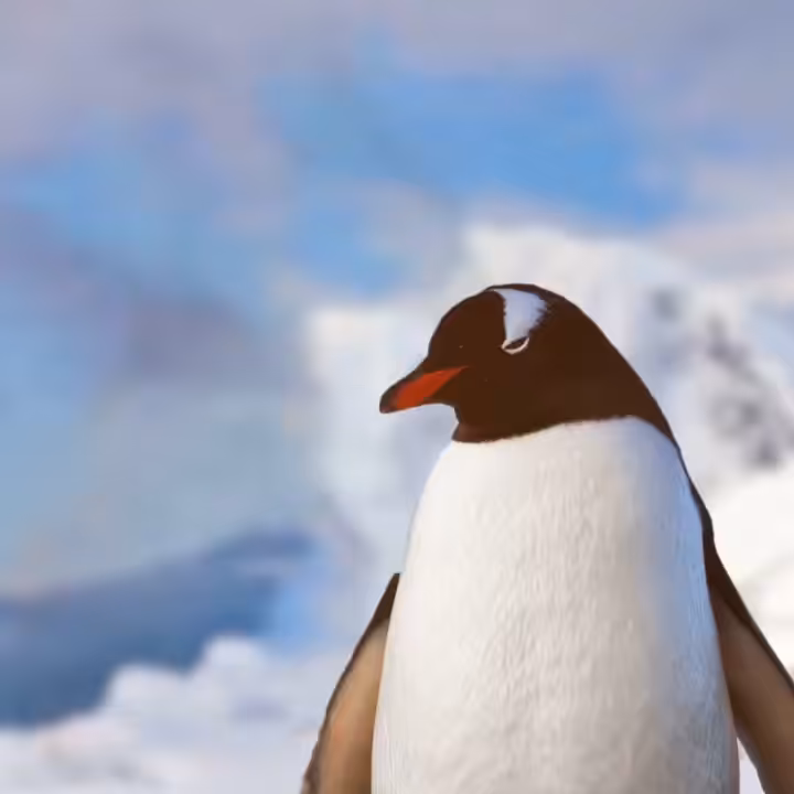 Penguin Pie