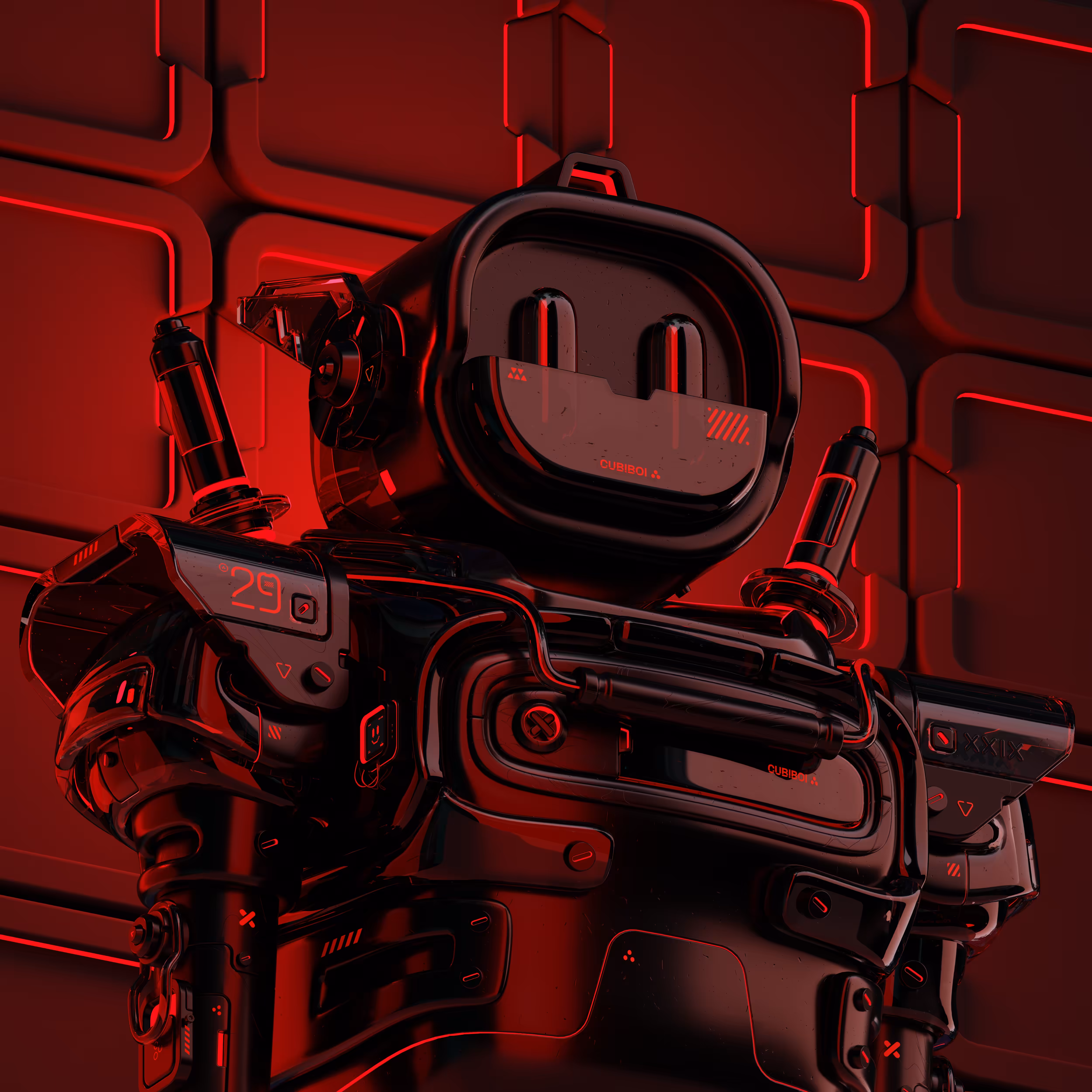 CUBIBOI #029