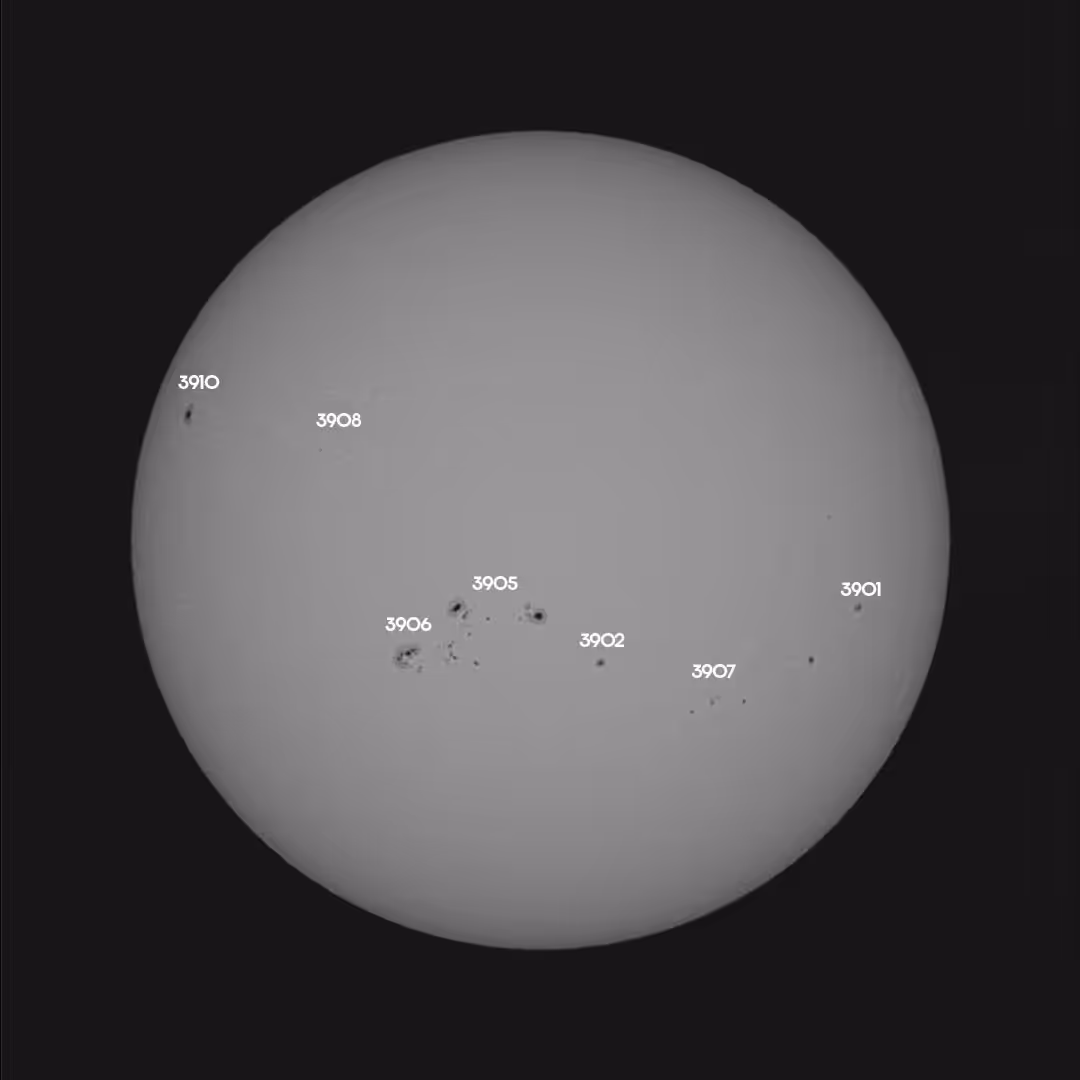 #260, 27/11/24