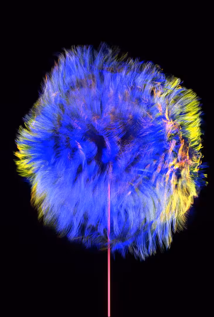 Dandelion Dance #1