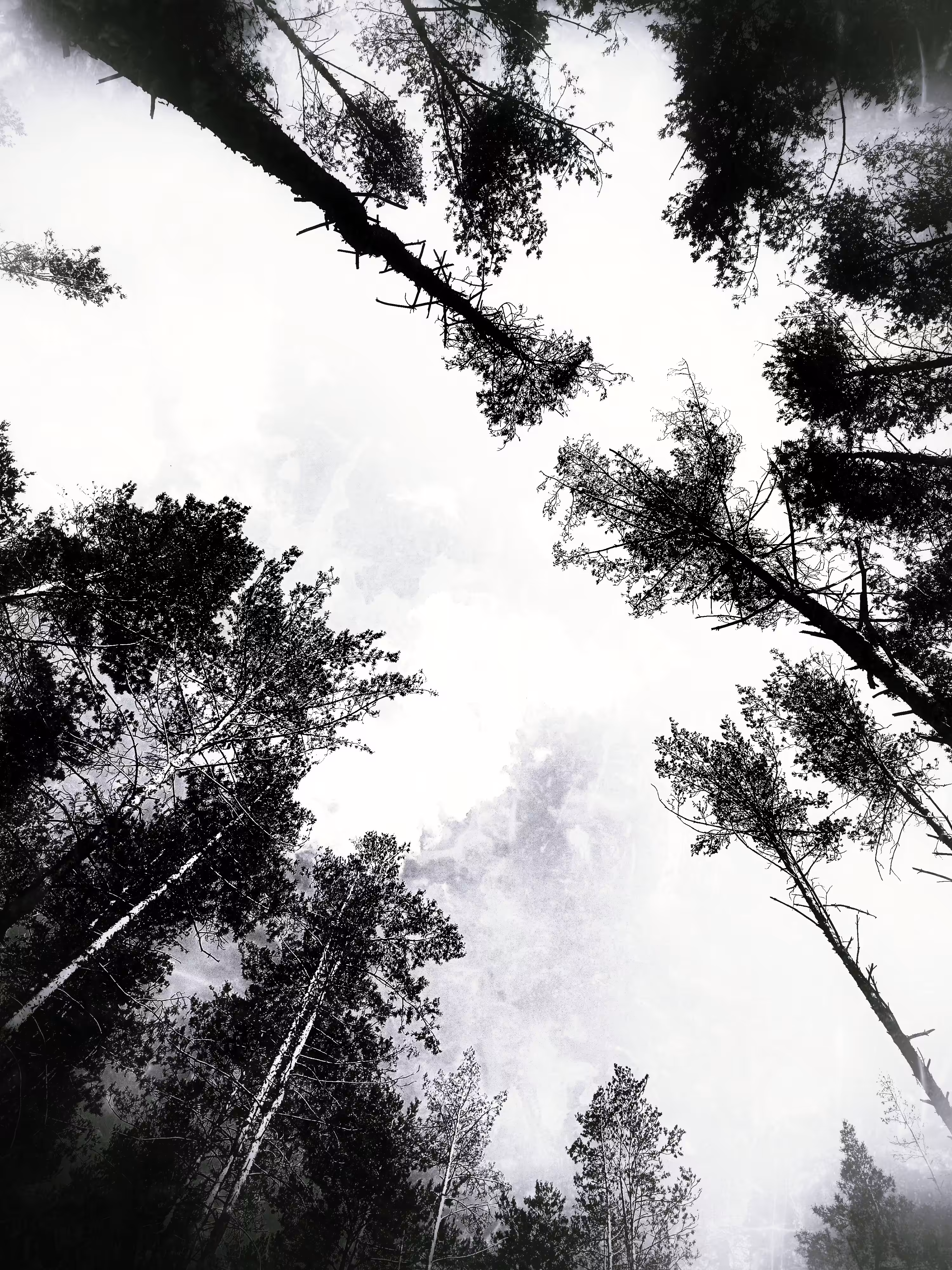 Beyond the clouds