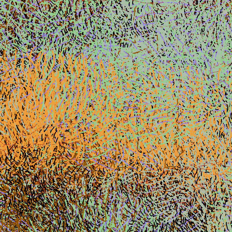 a bird worked on my painting #4