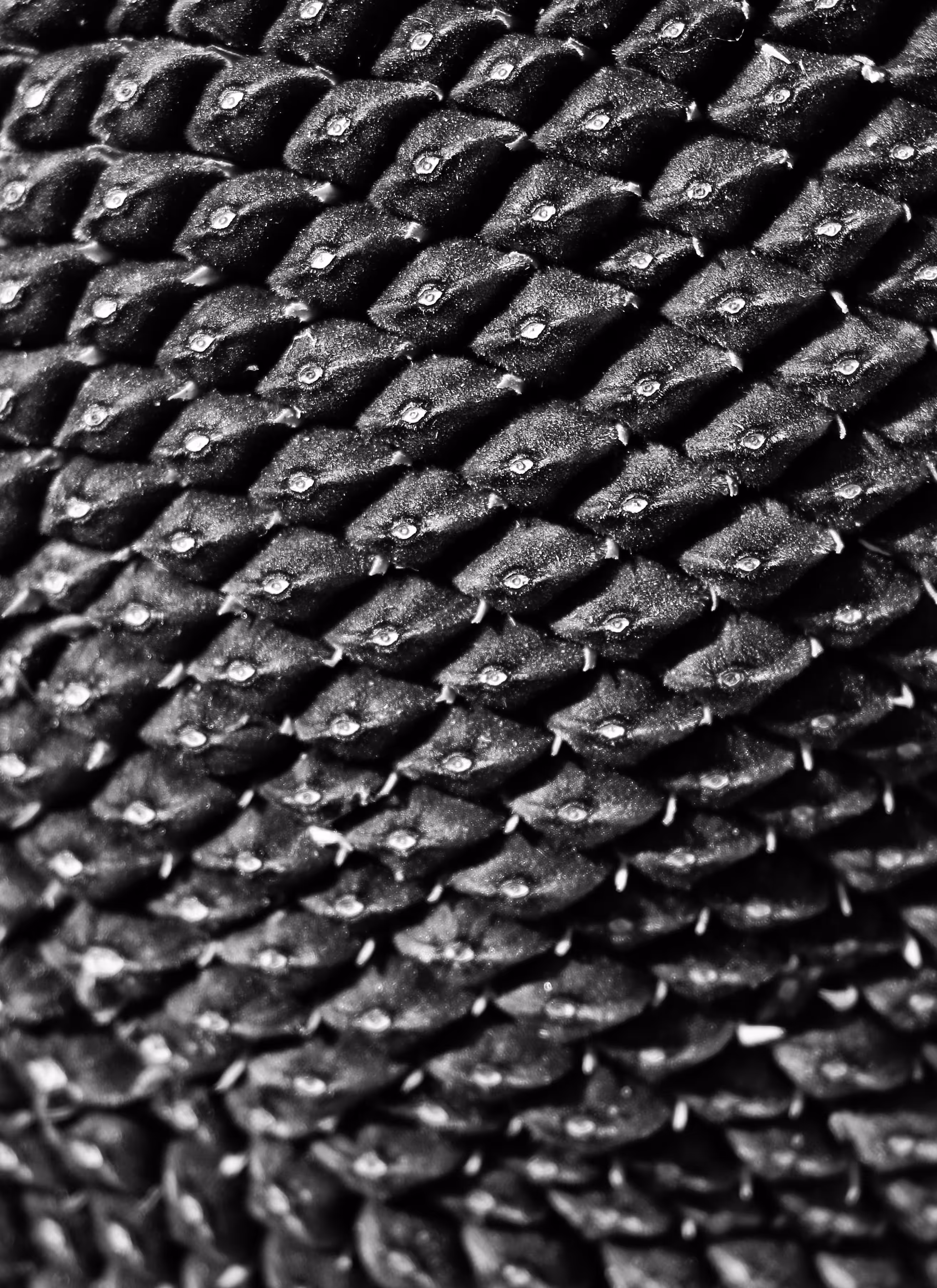 Texture