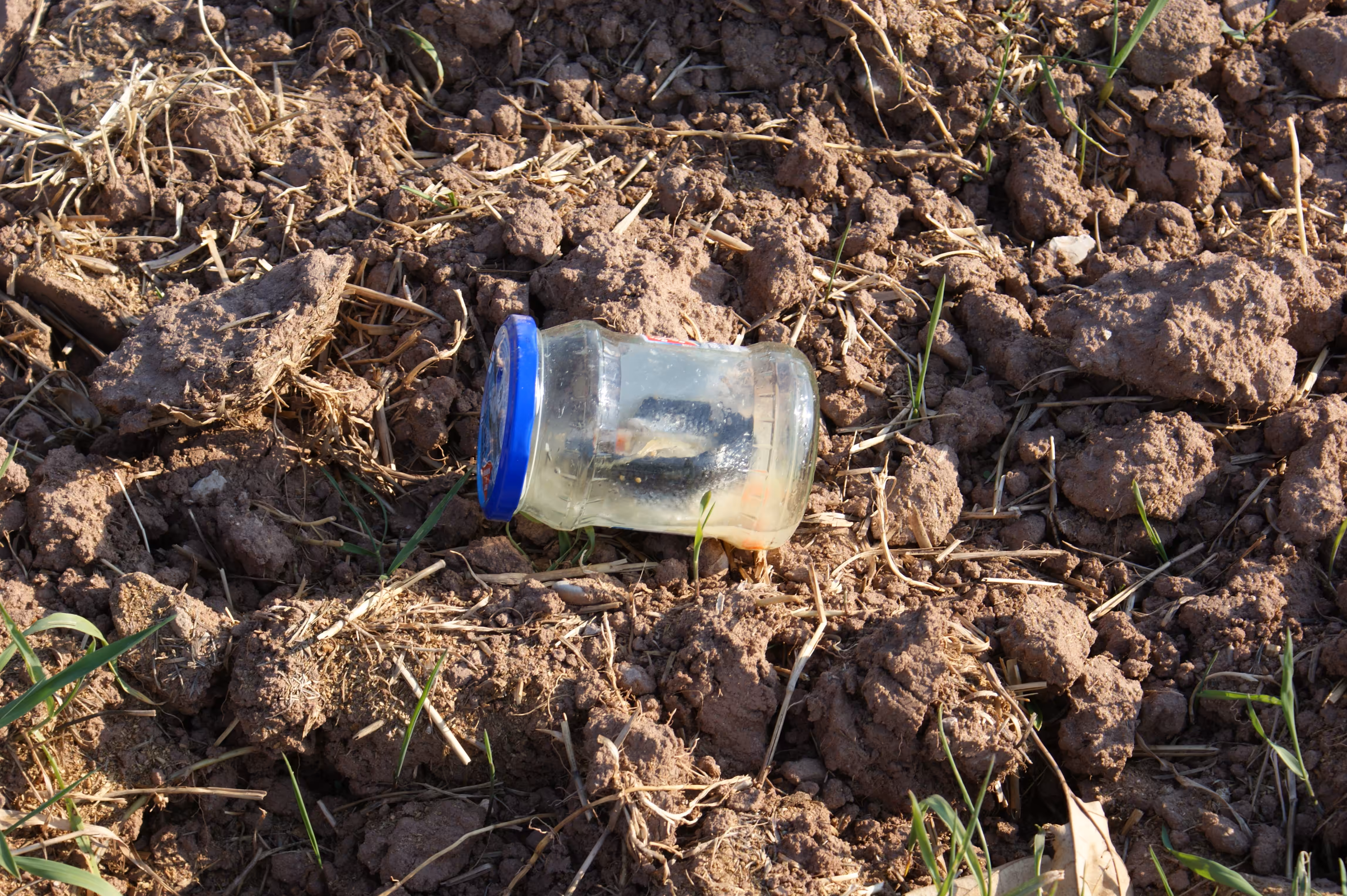 test:jar