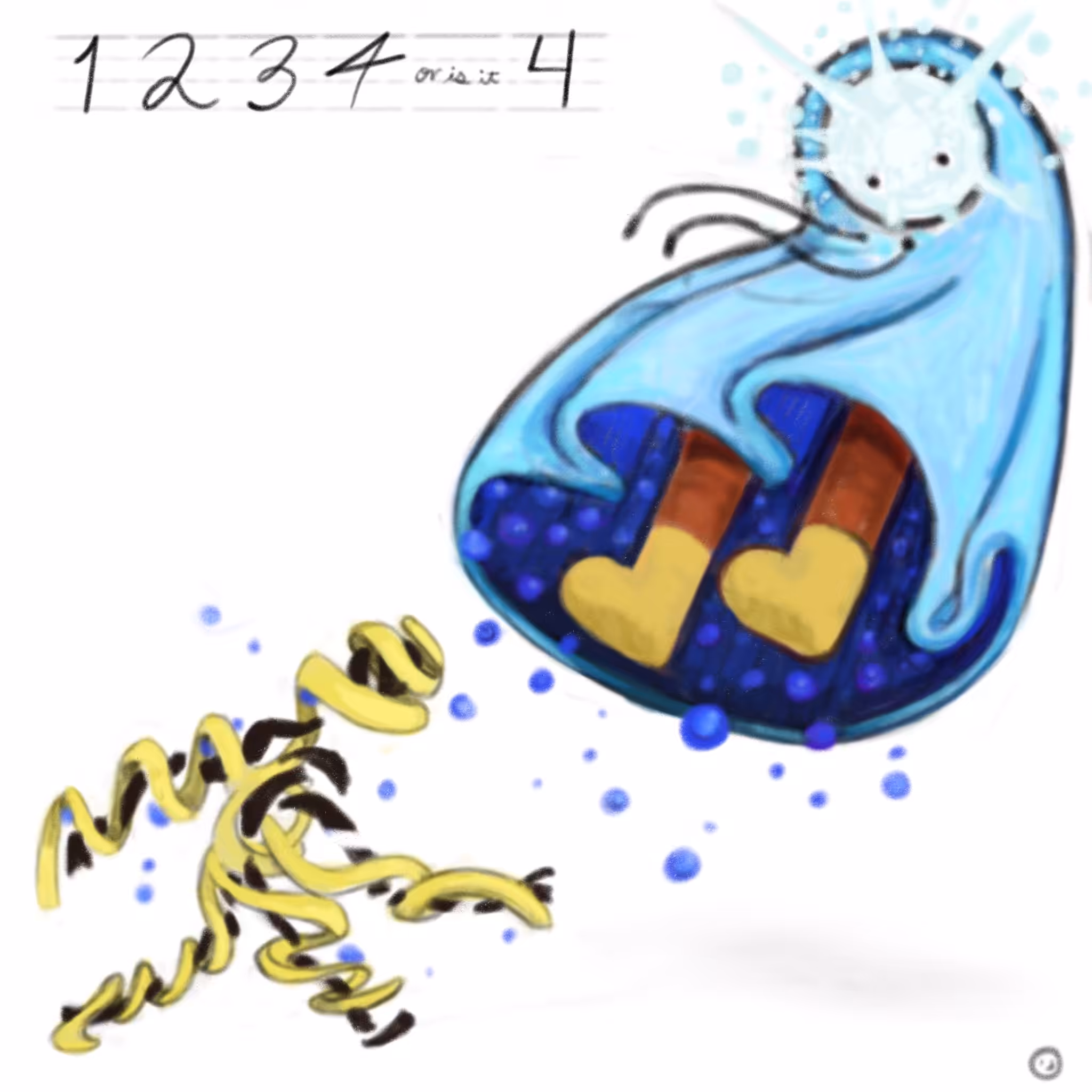 Chasing Ghost and Bubbles