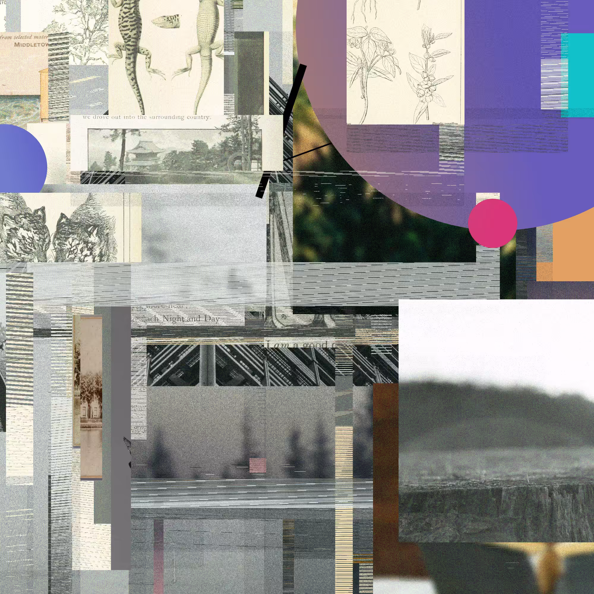 Unconscious Collages #1380