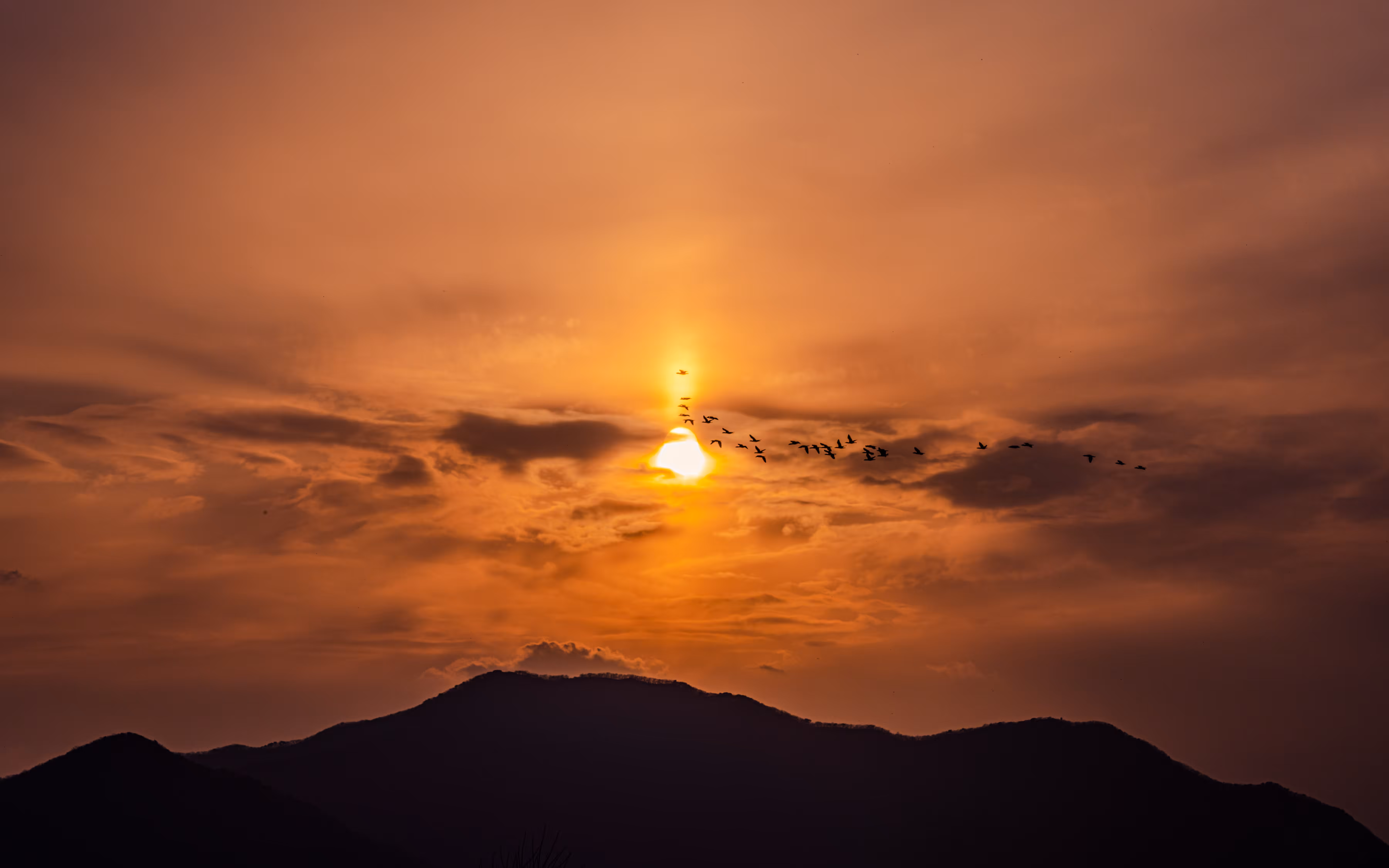 Burn the sky