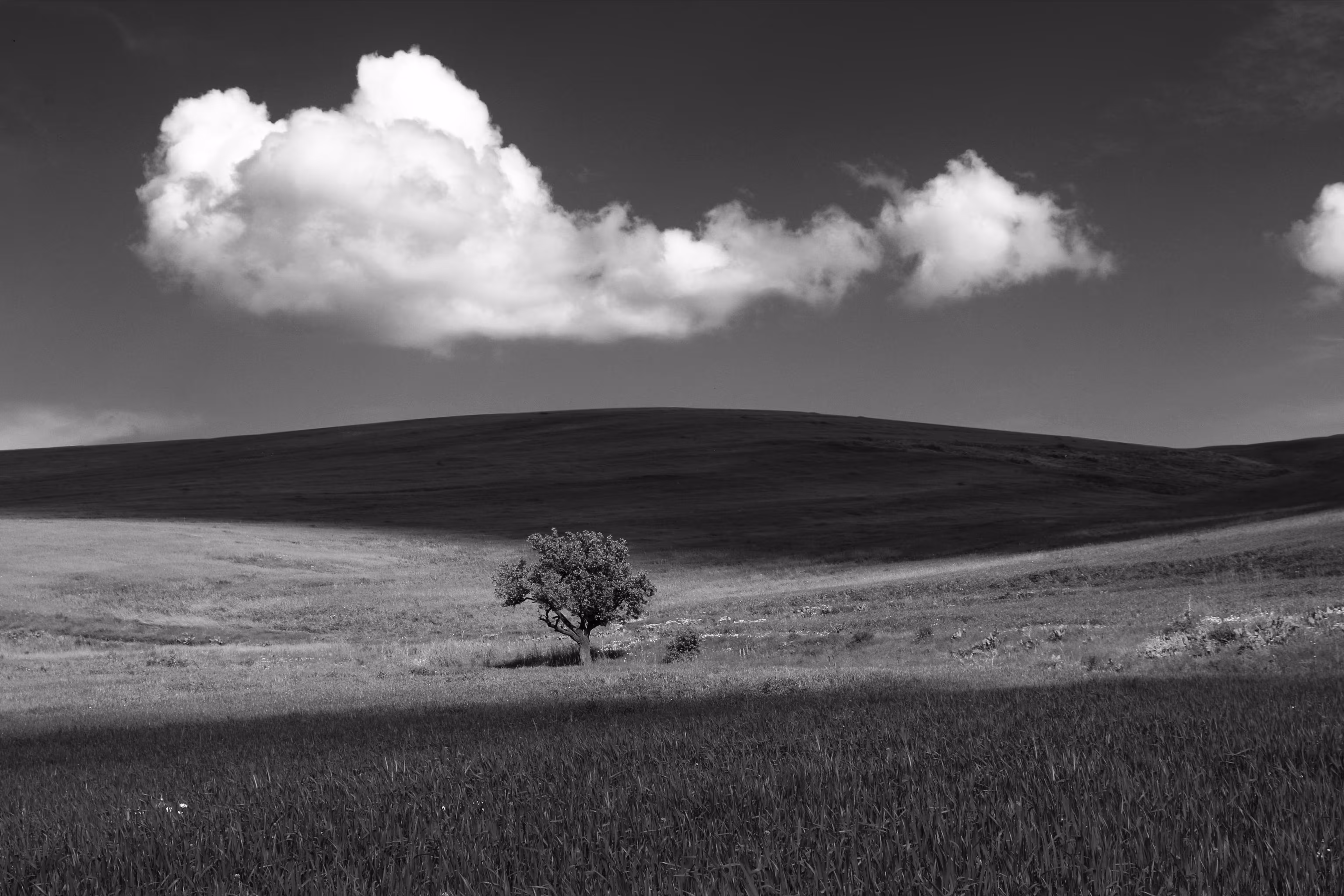 Beautiful Nature