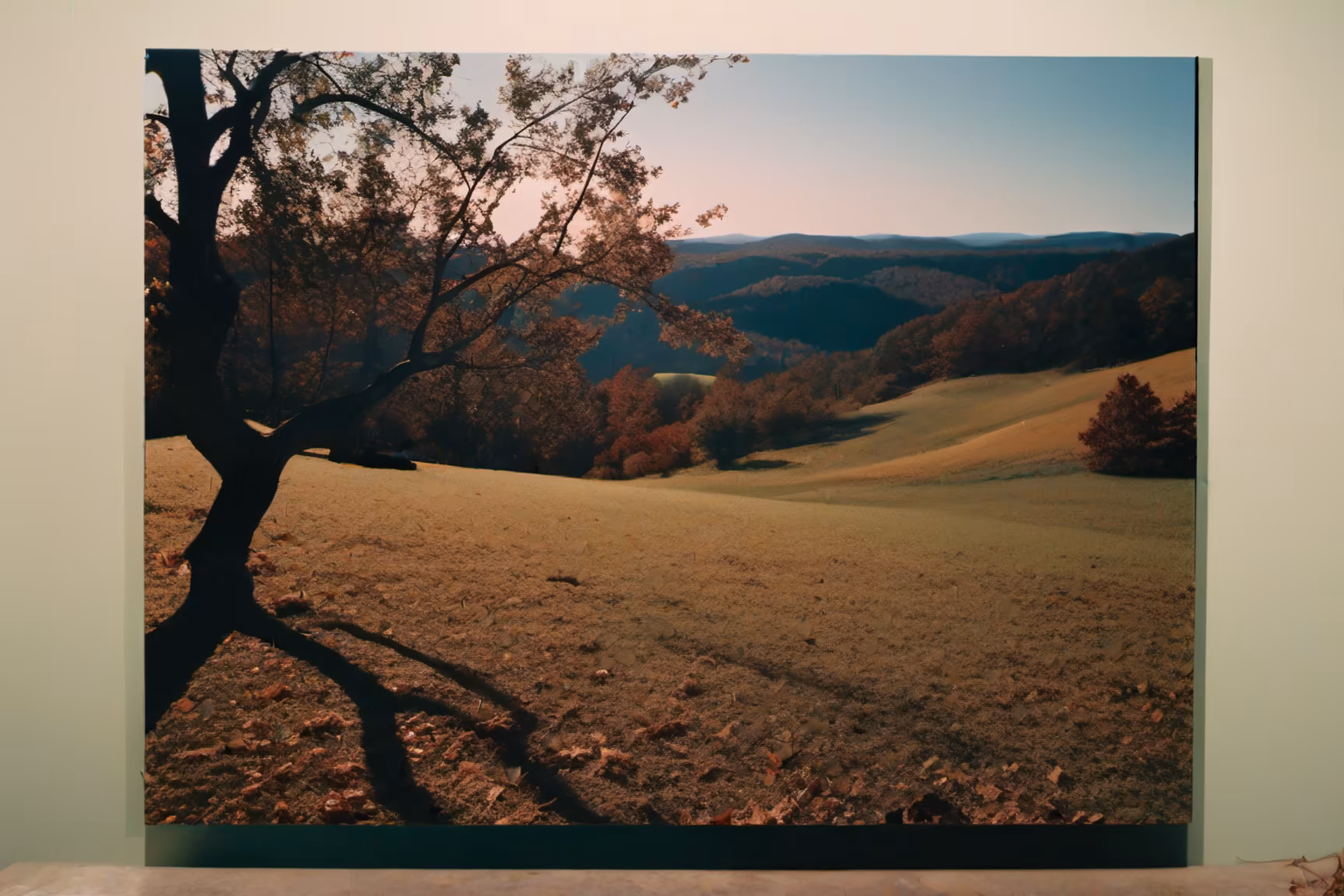Lonely Landscapes #162