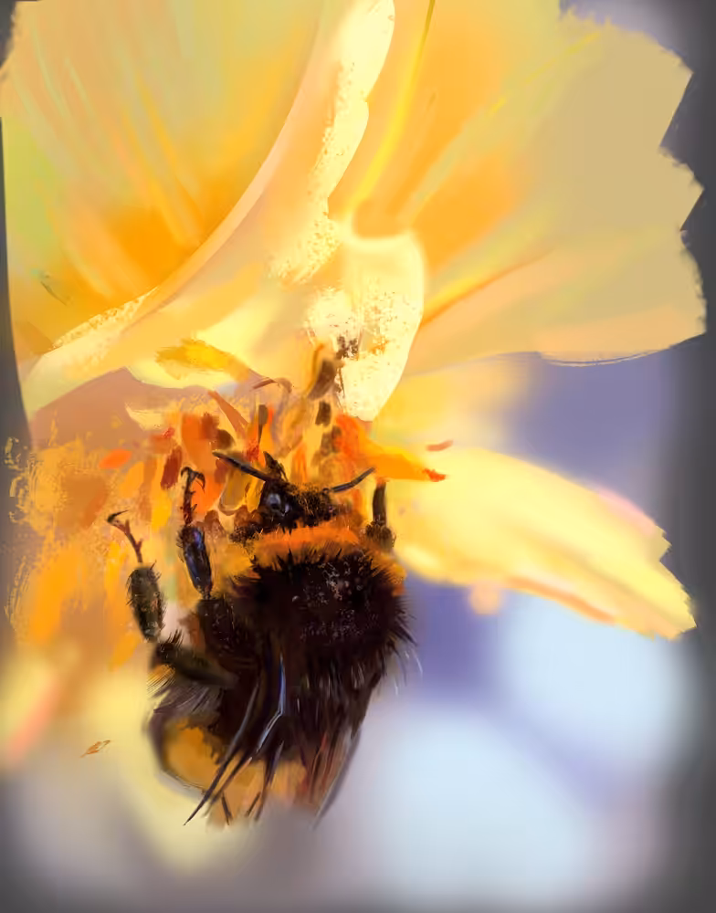 Honey Bee