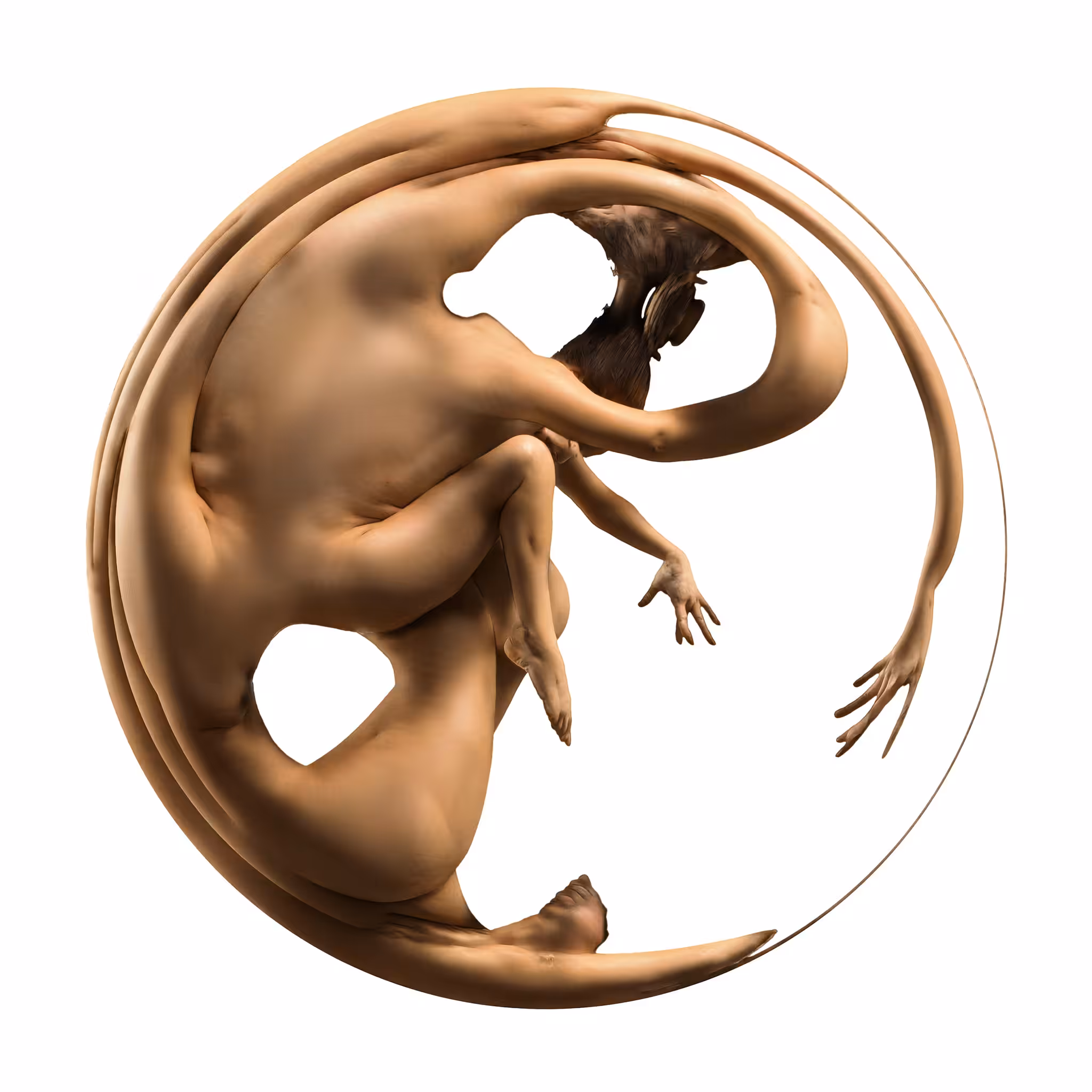 Hyperbolic Composition I - Genesis