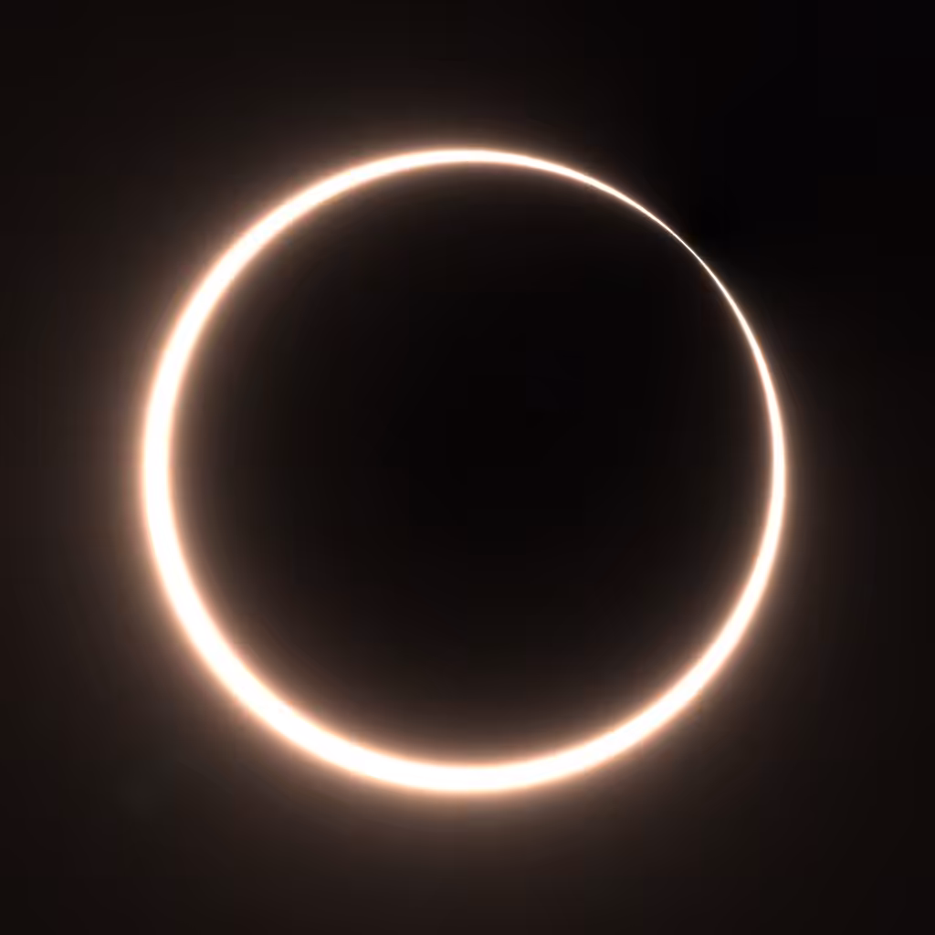 Totality #338