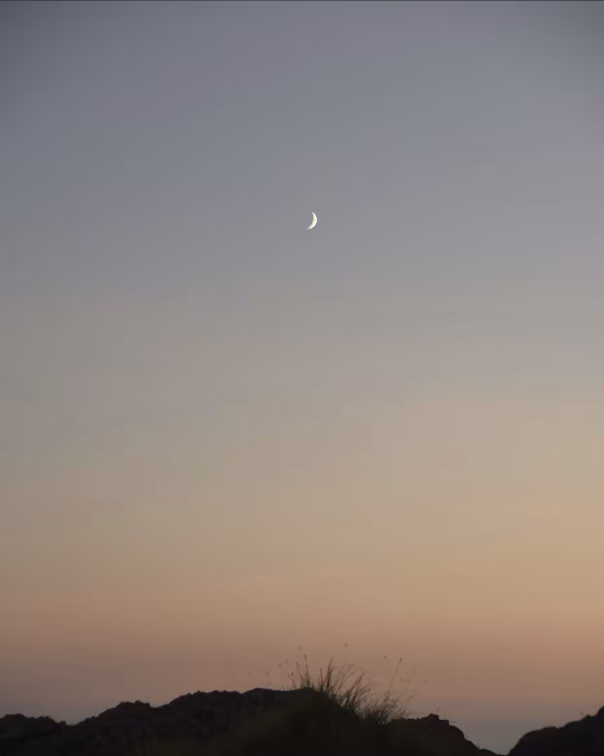 Clover Point