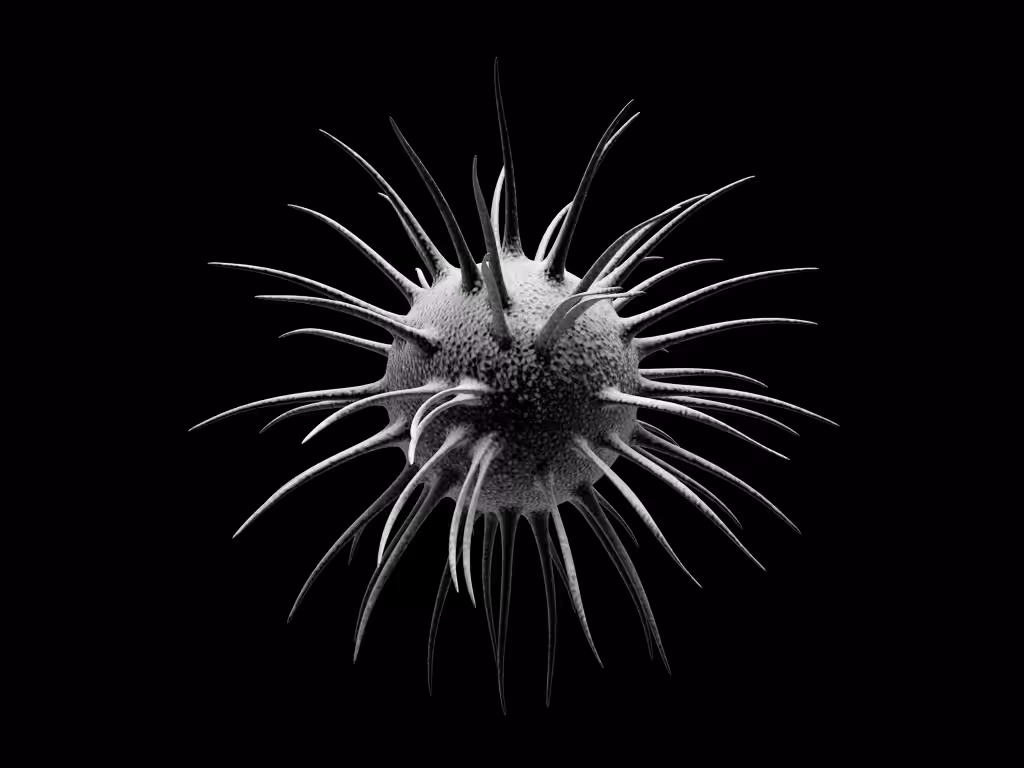 Cell Loop