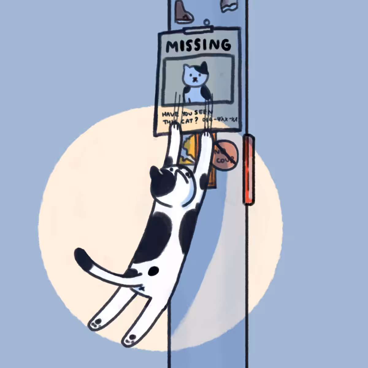 Have you seen this cat?