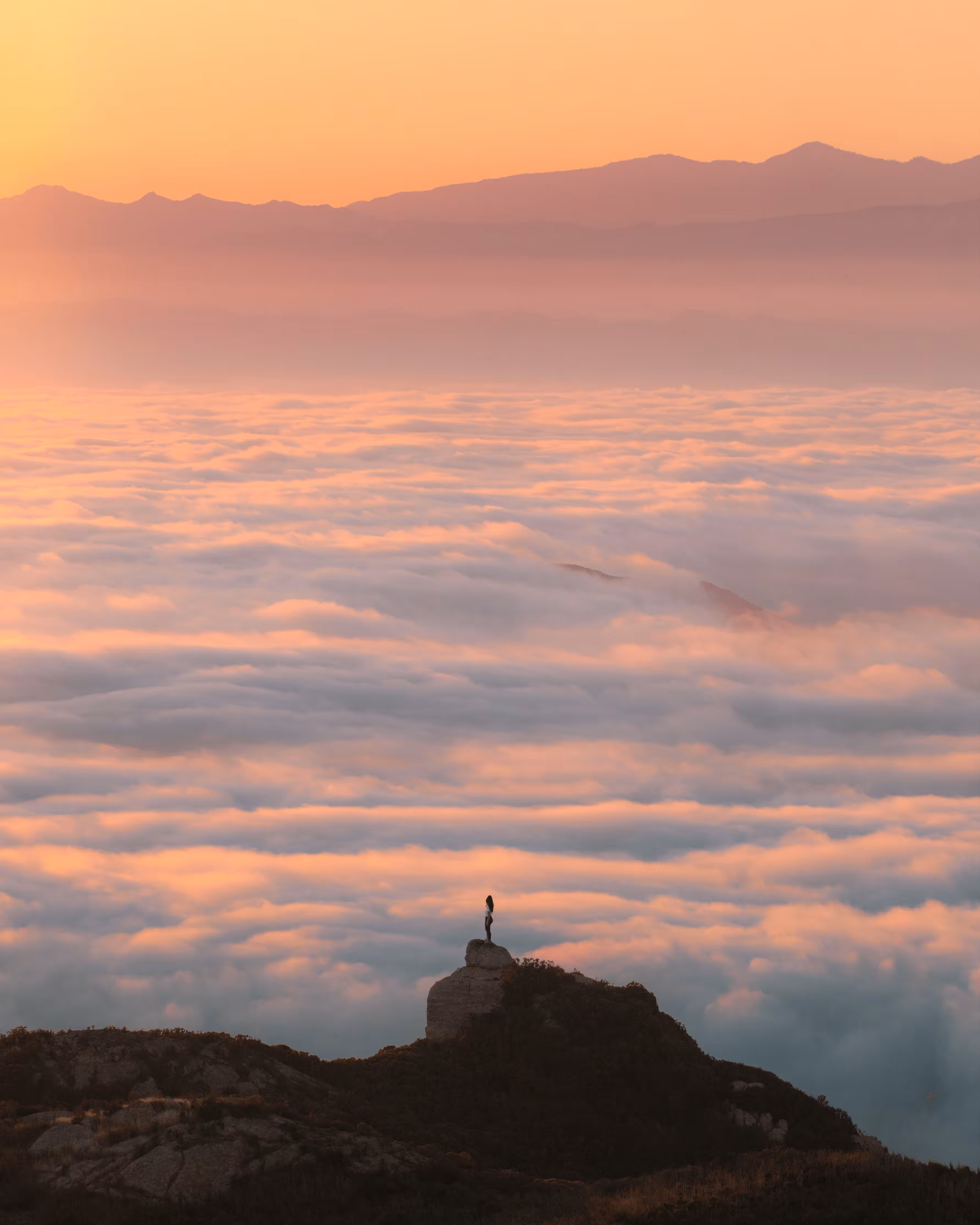 #29: Incredible Inversion