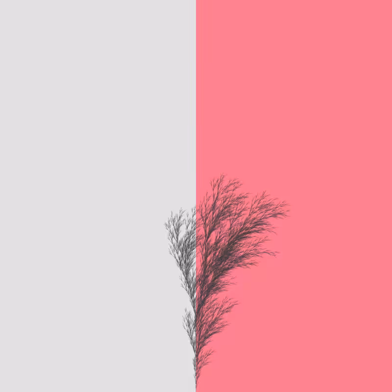 Rushbush #10