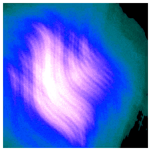 Electric Bloom