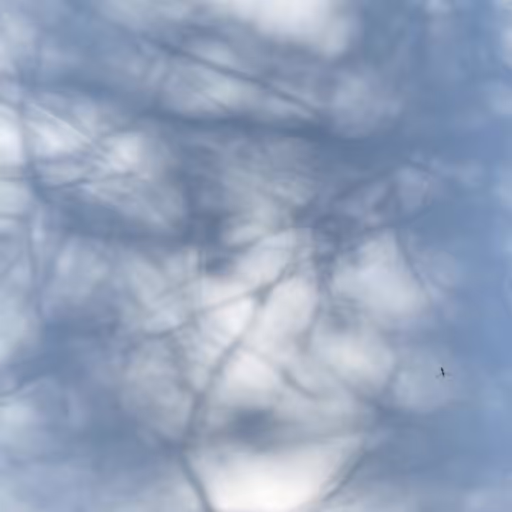 ReGenerative Poem VIII