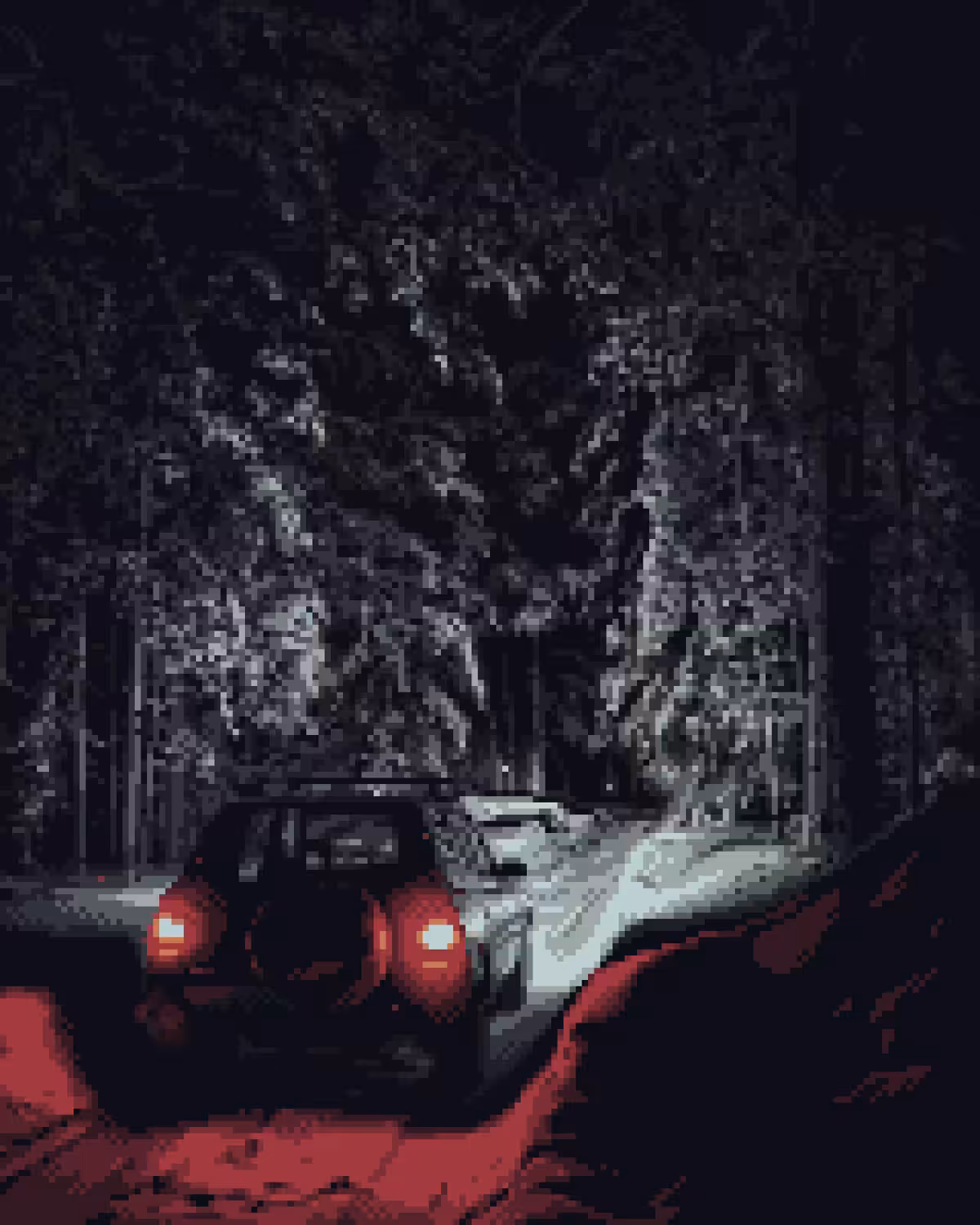 Forest road