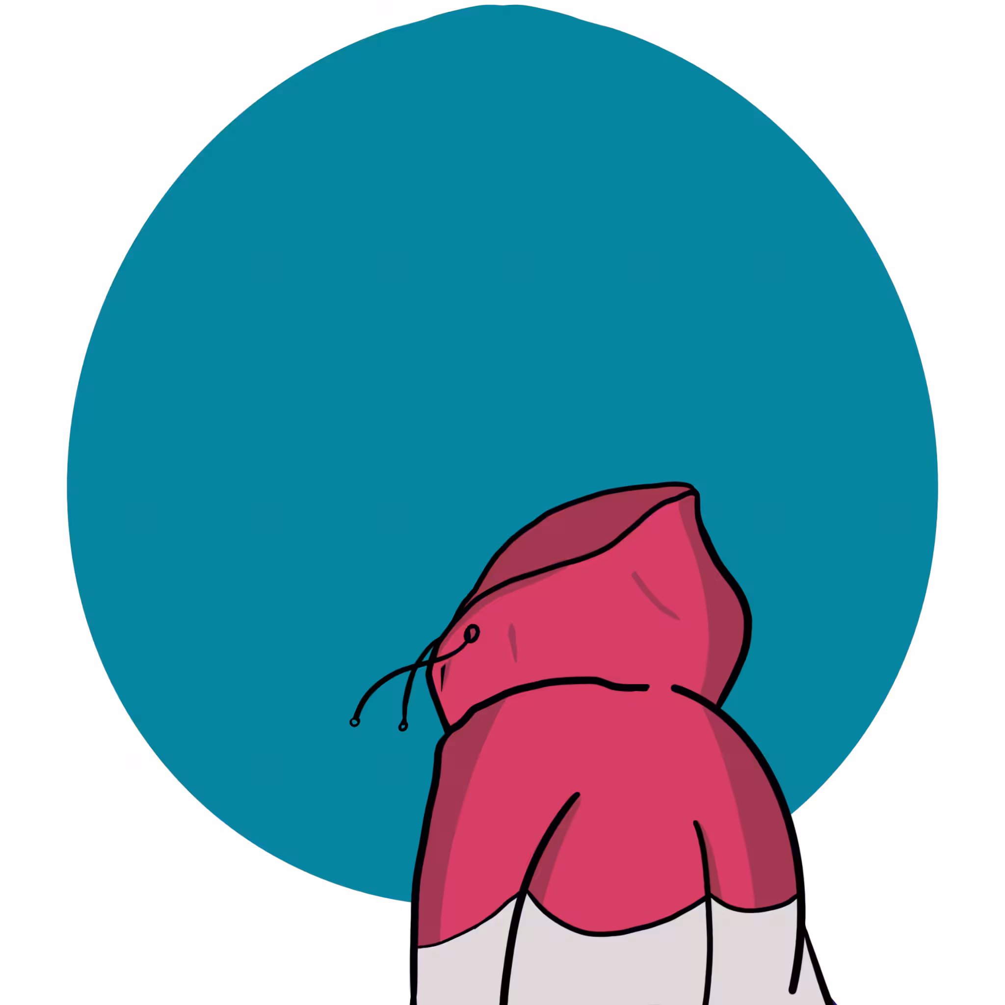 Zuverse #003