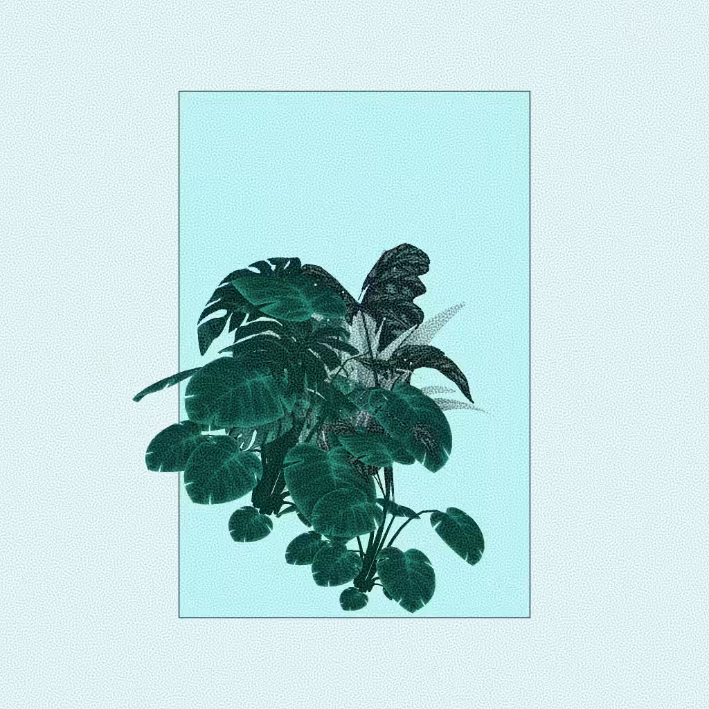 Botany #214