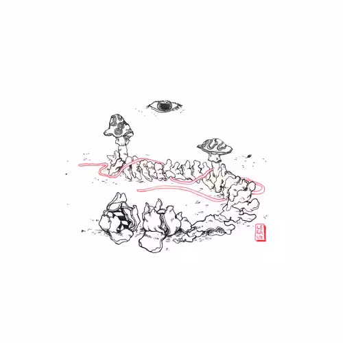 spina de curiosis