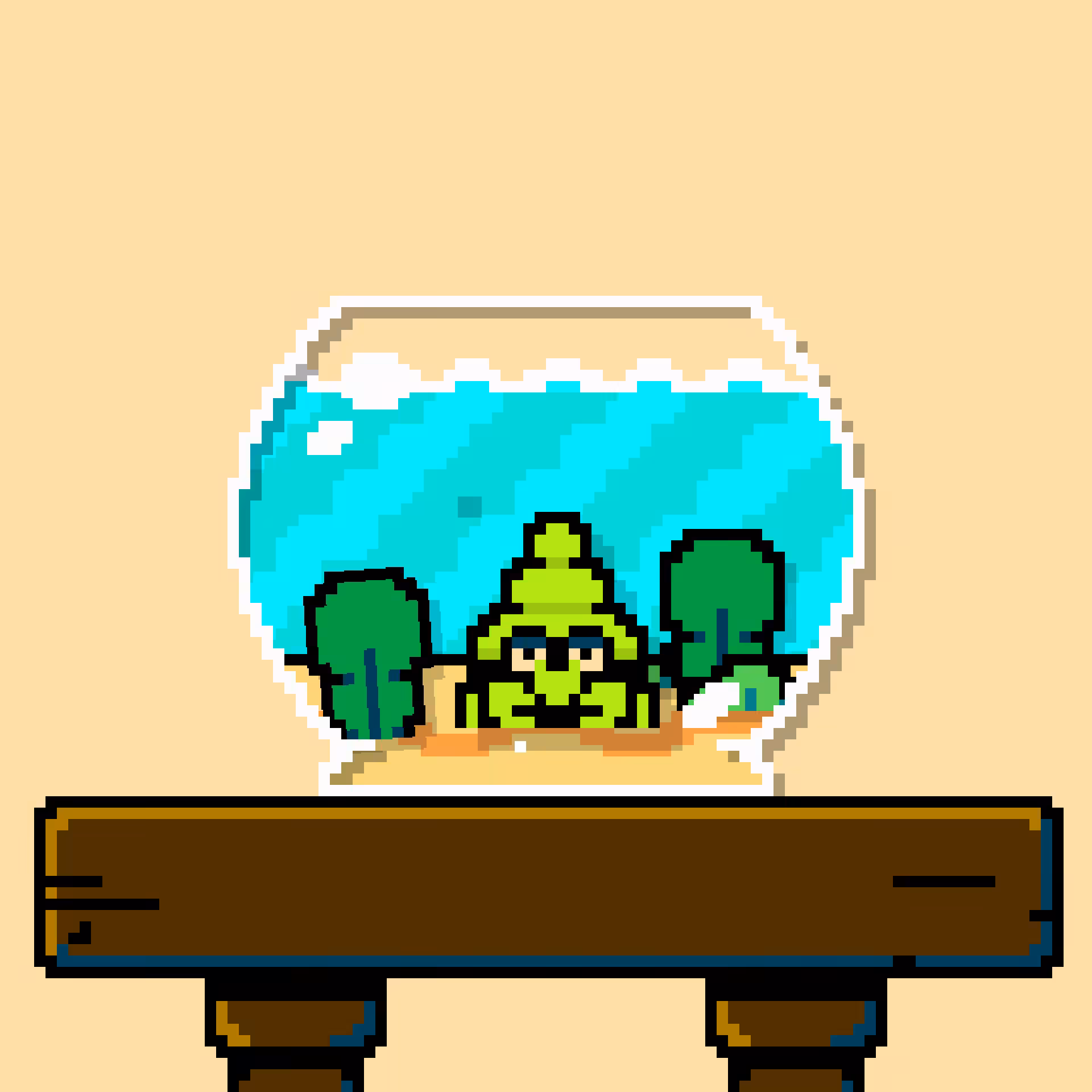 hermit crab #81