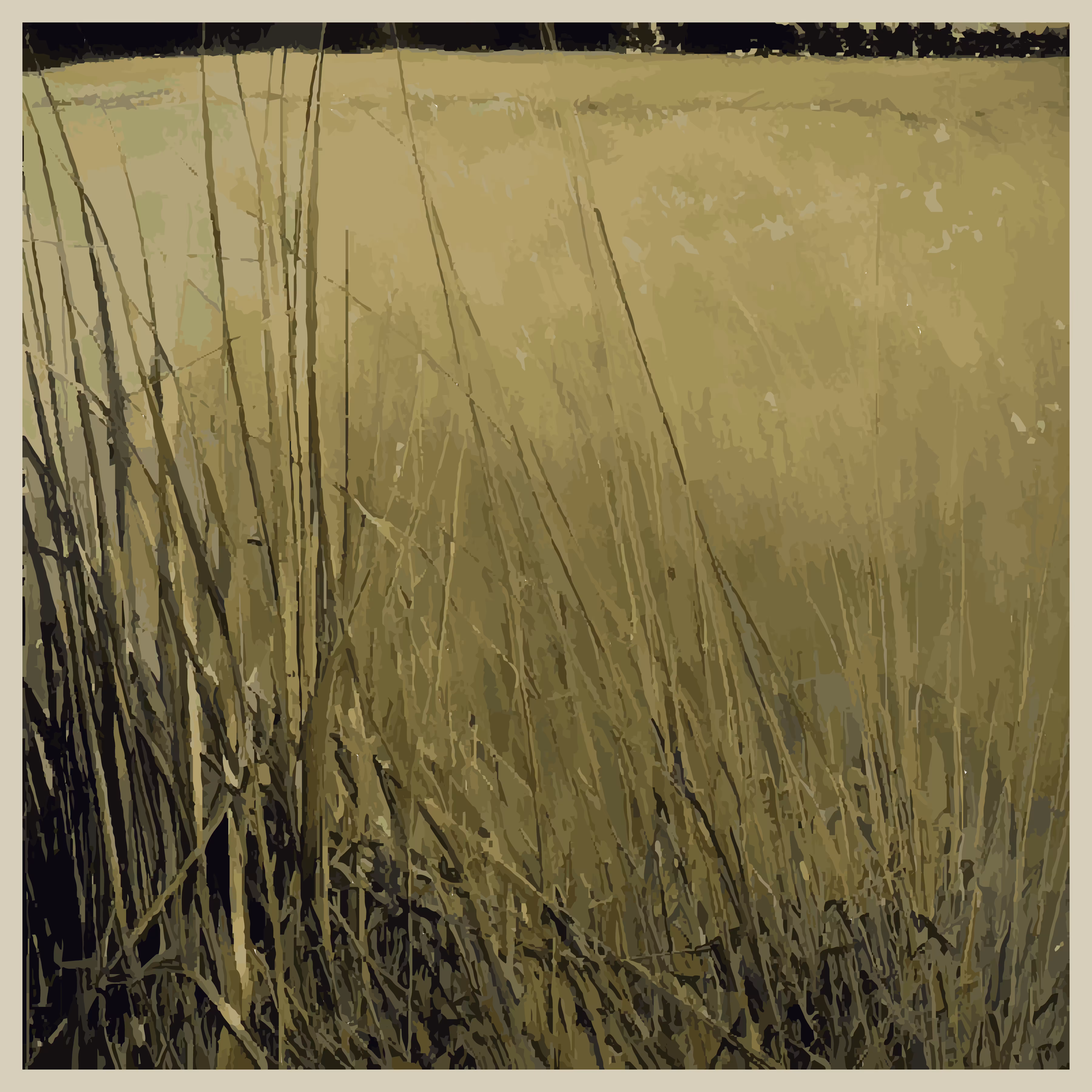 Central Tall Grasslands