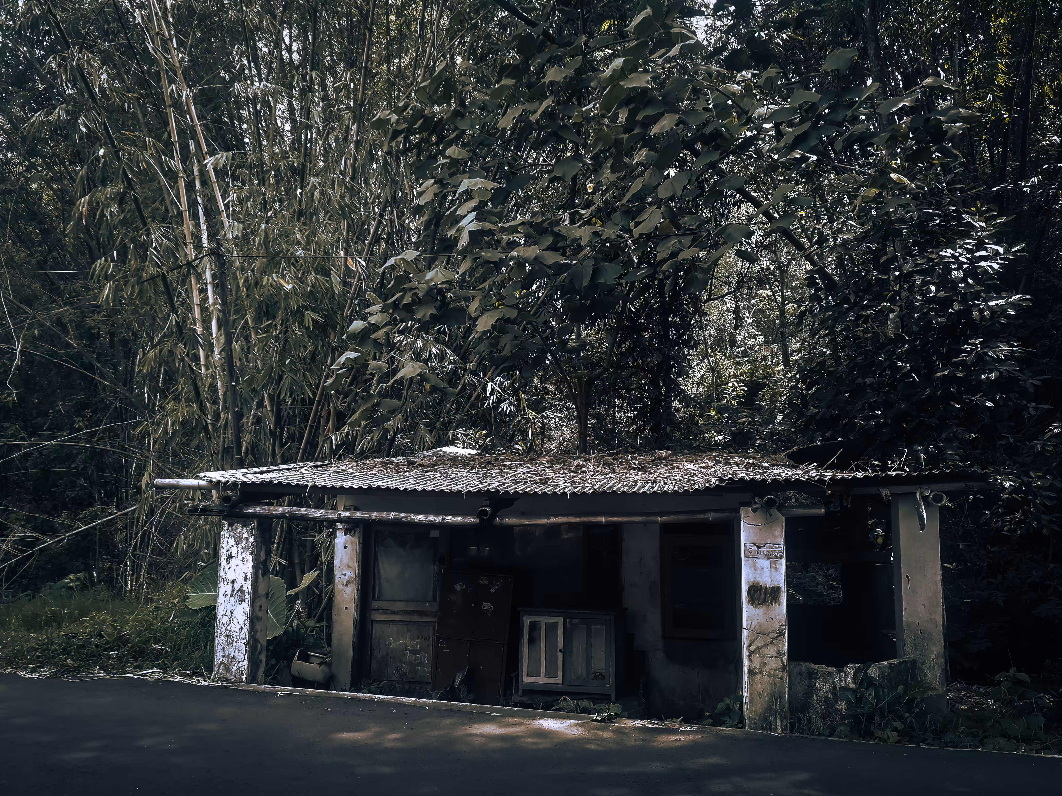 Isolated and Forgotten