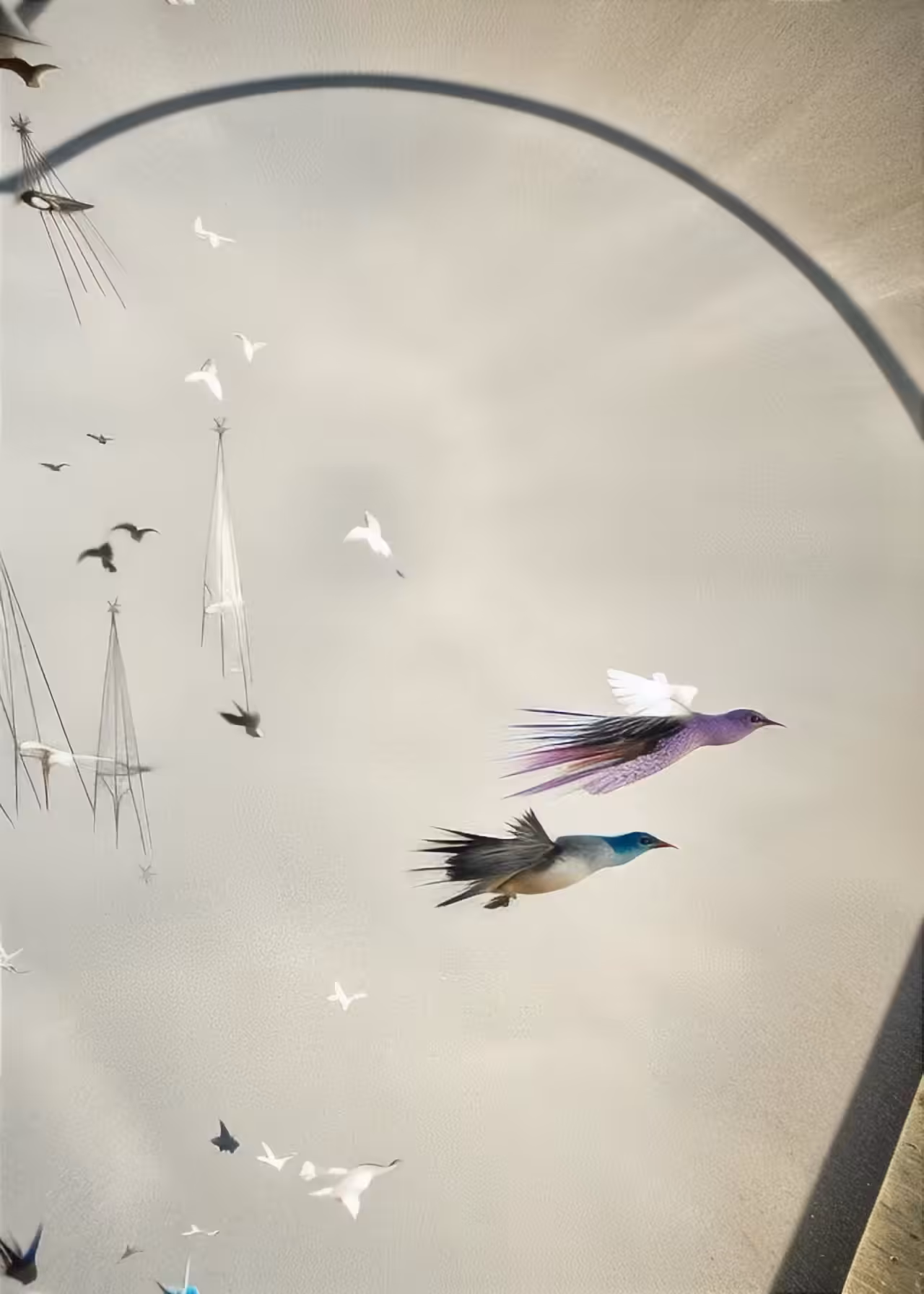 Forecast Loops: Gliding 02