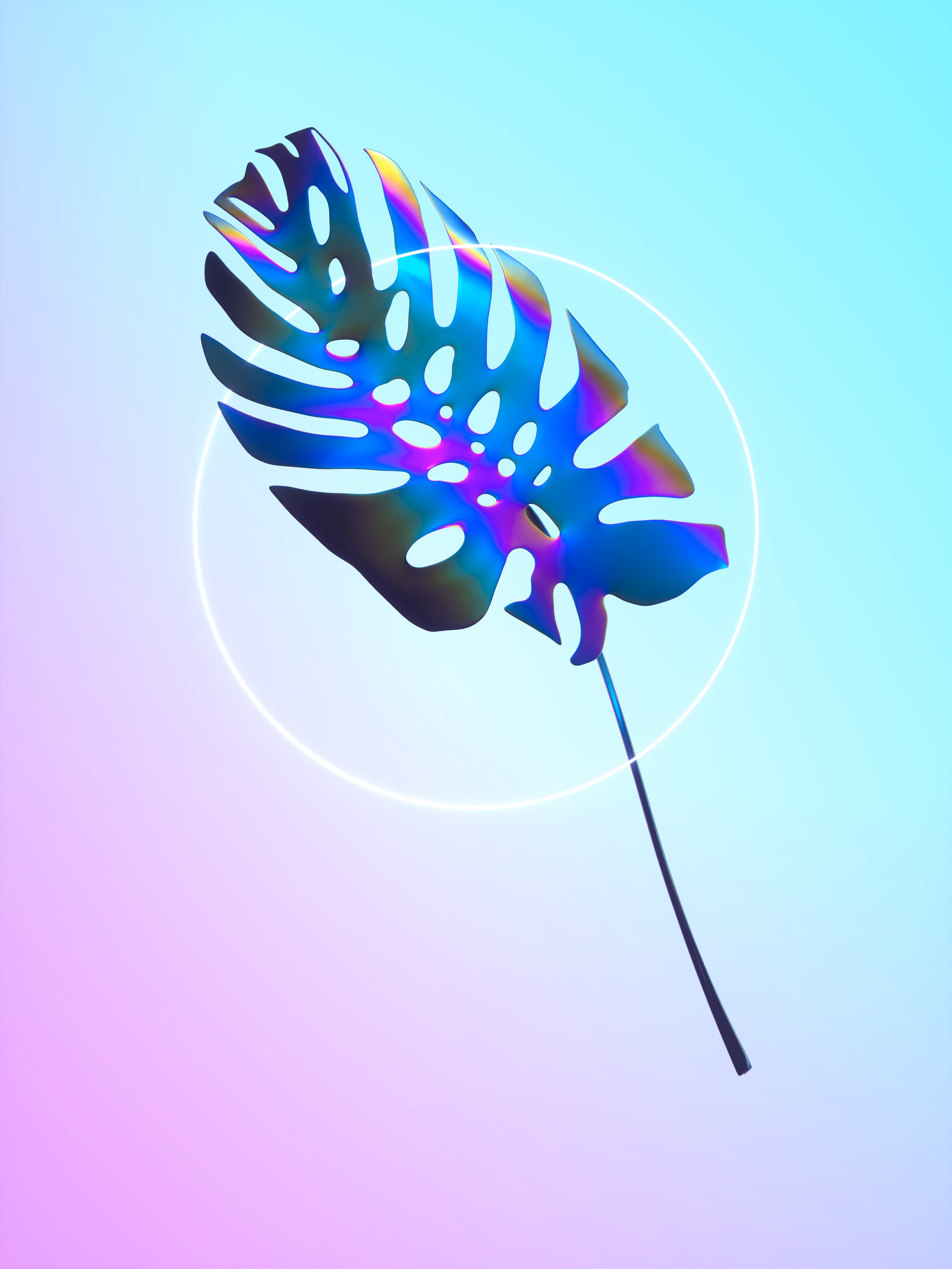 Botanica | 02