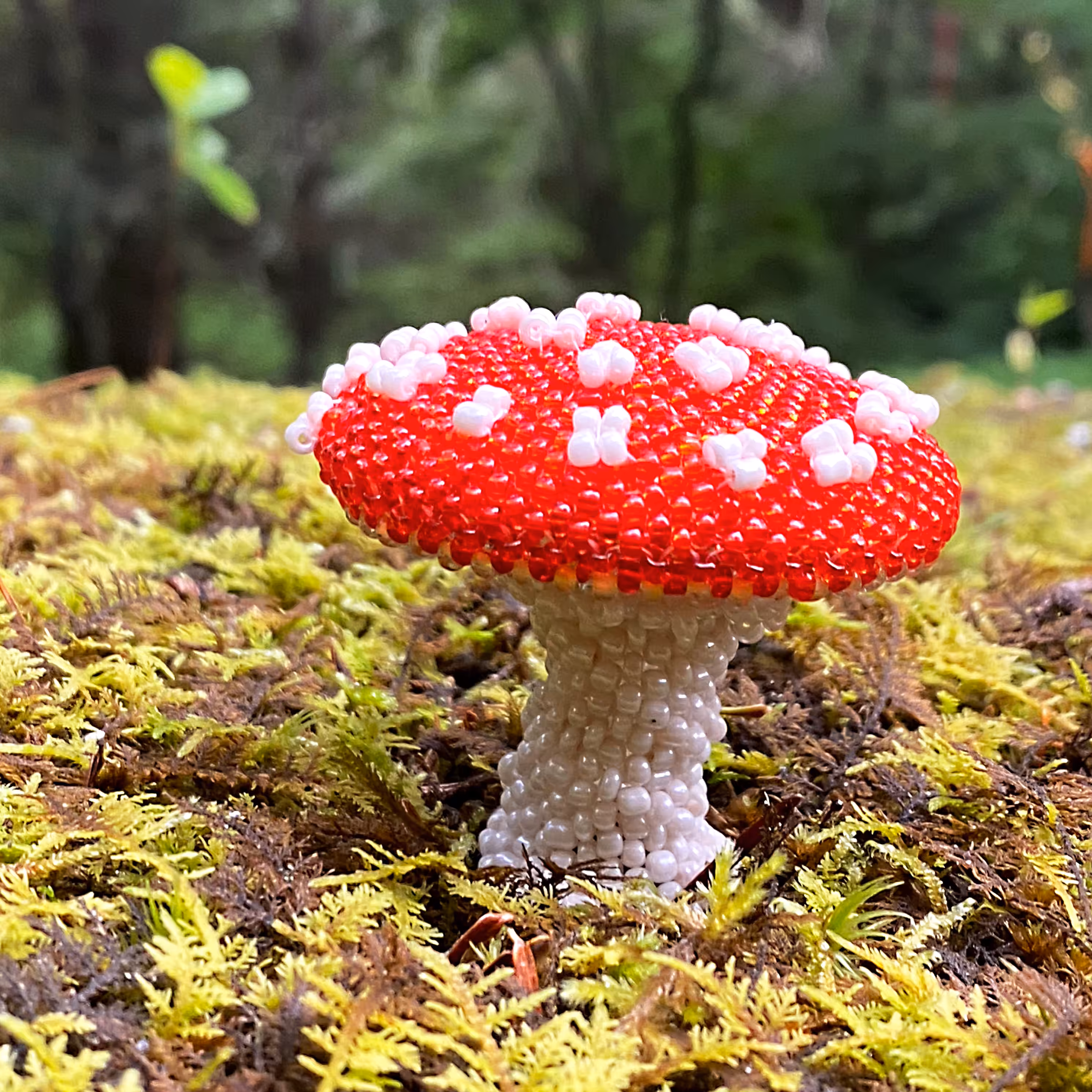 Crypto-mimetic : Fly Agaric