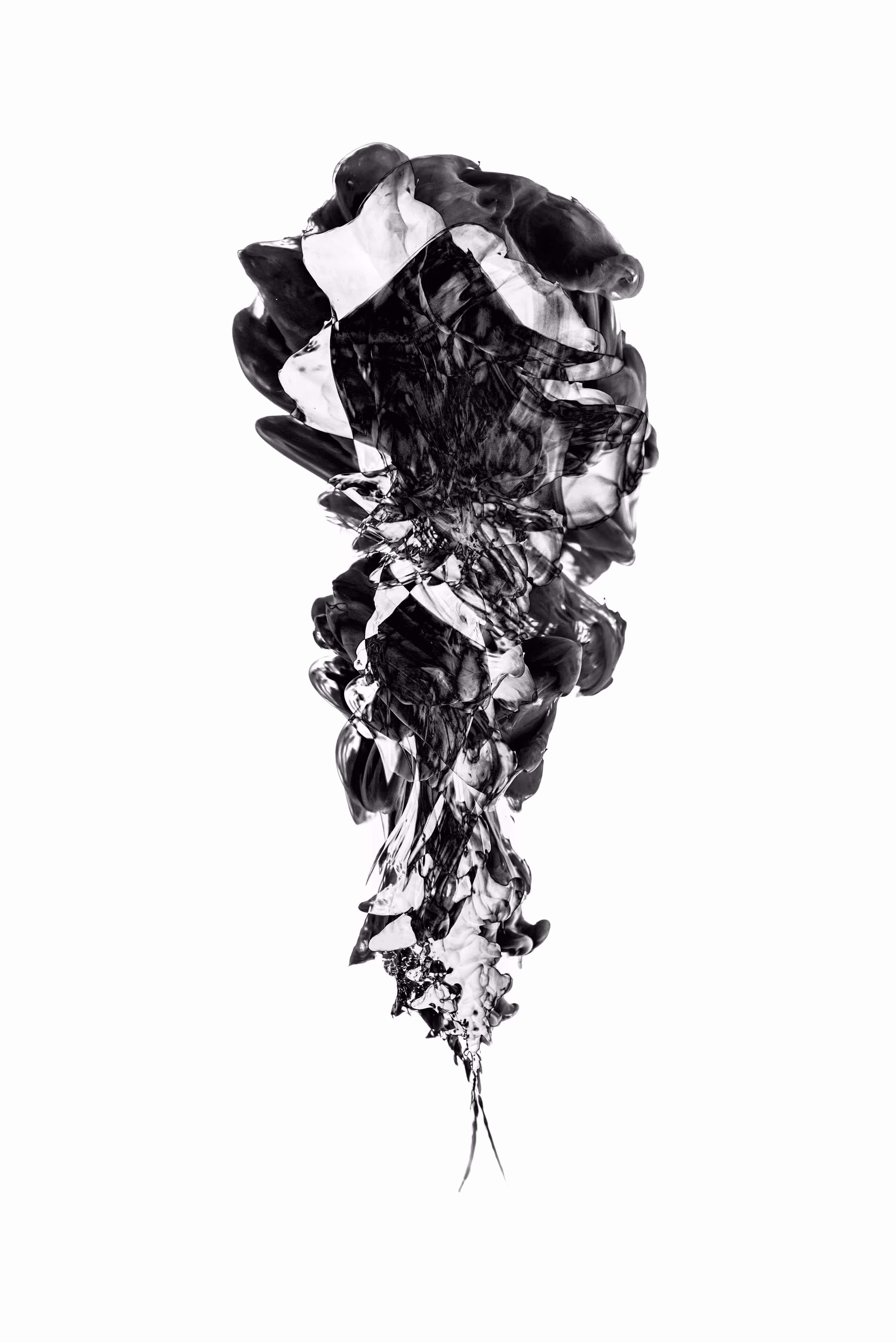 Fragment 0013 
