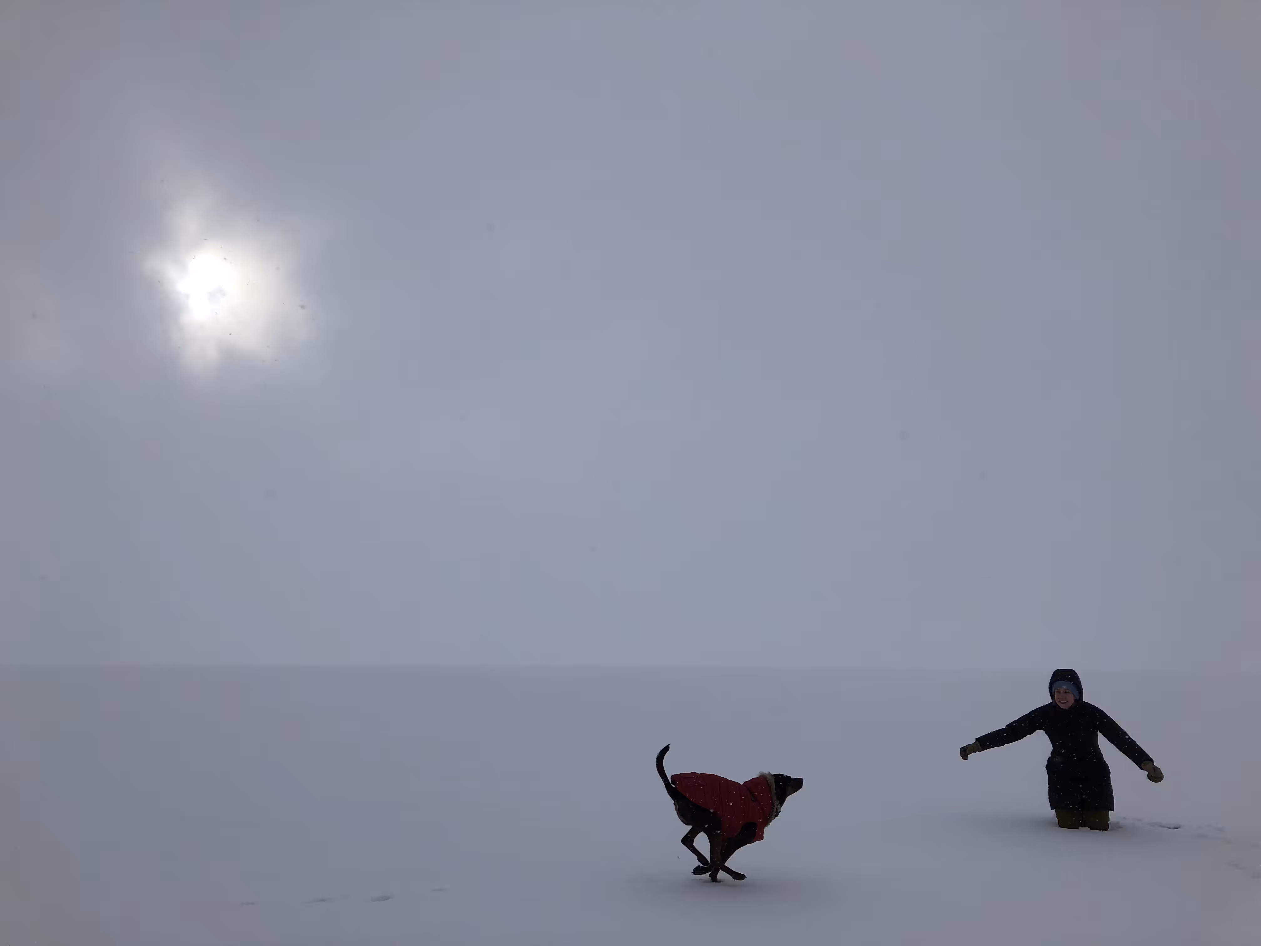 White Space