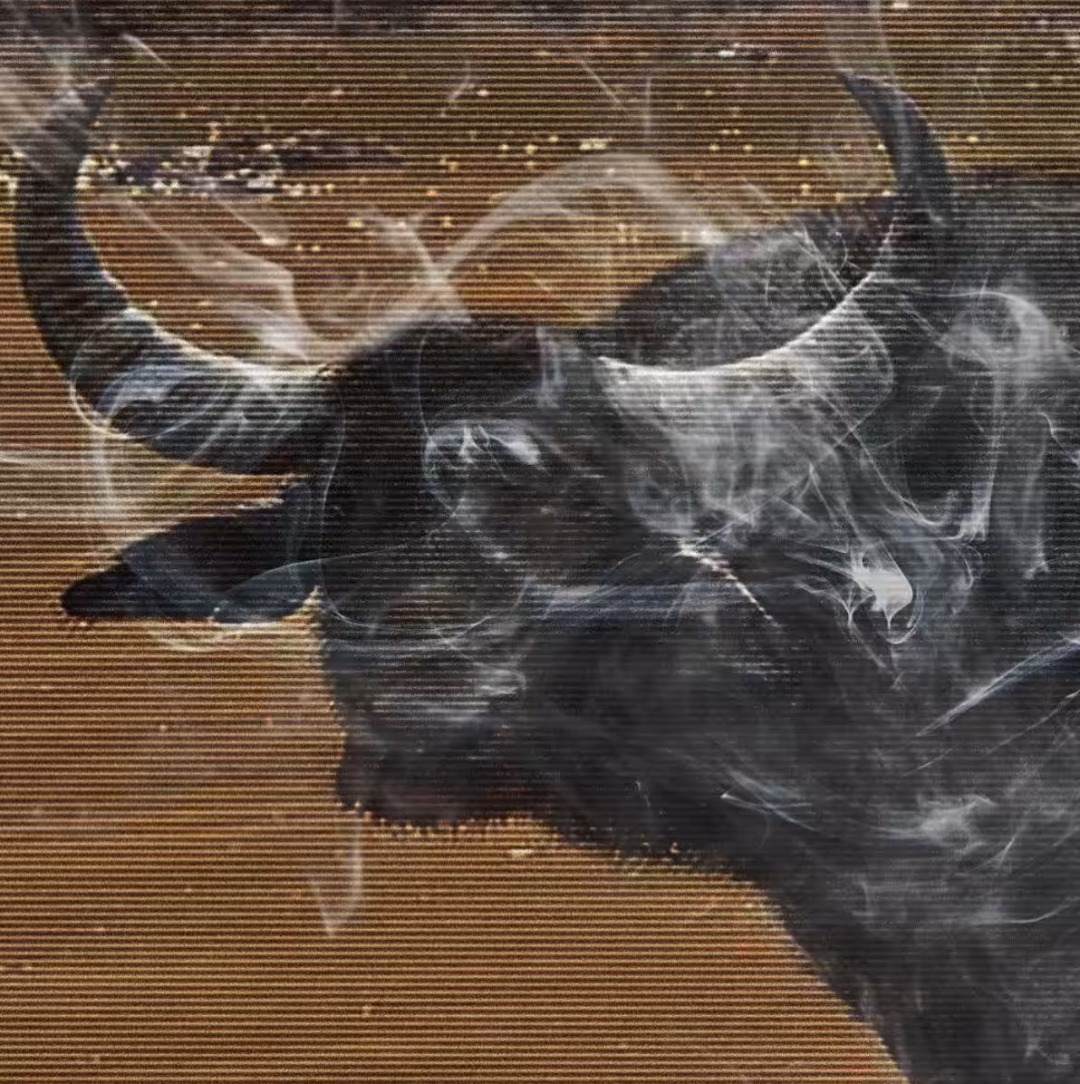 ANIMAL SERIES - « taurus (1) »