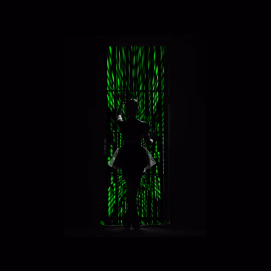 Balarina Matrix Edition Collectible
