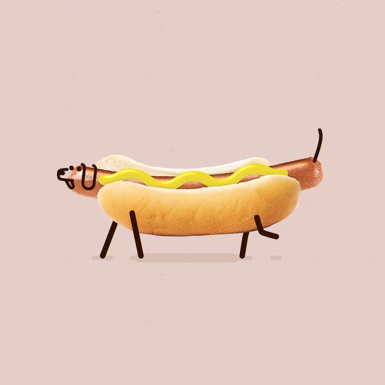 Hot Dog