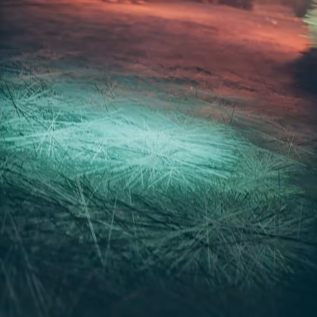 TRANSCENDENCE  [ MemoryDisc #1 ]
