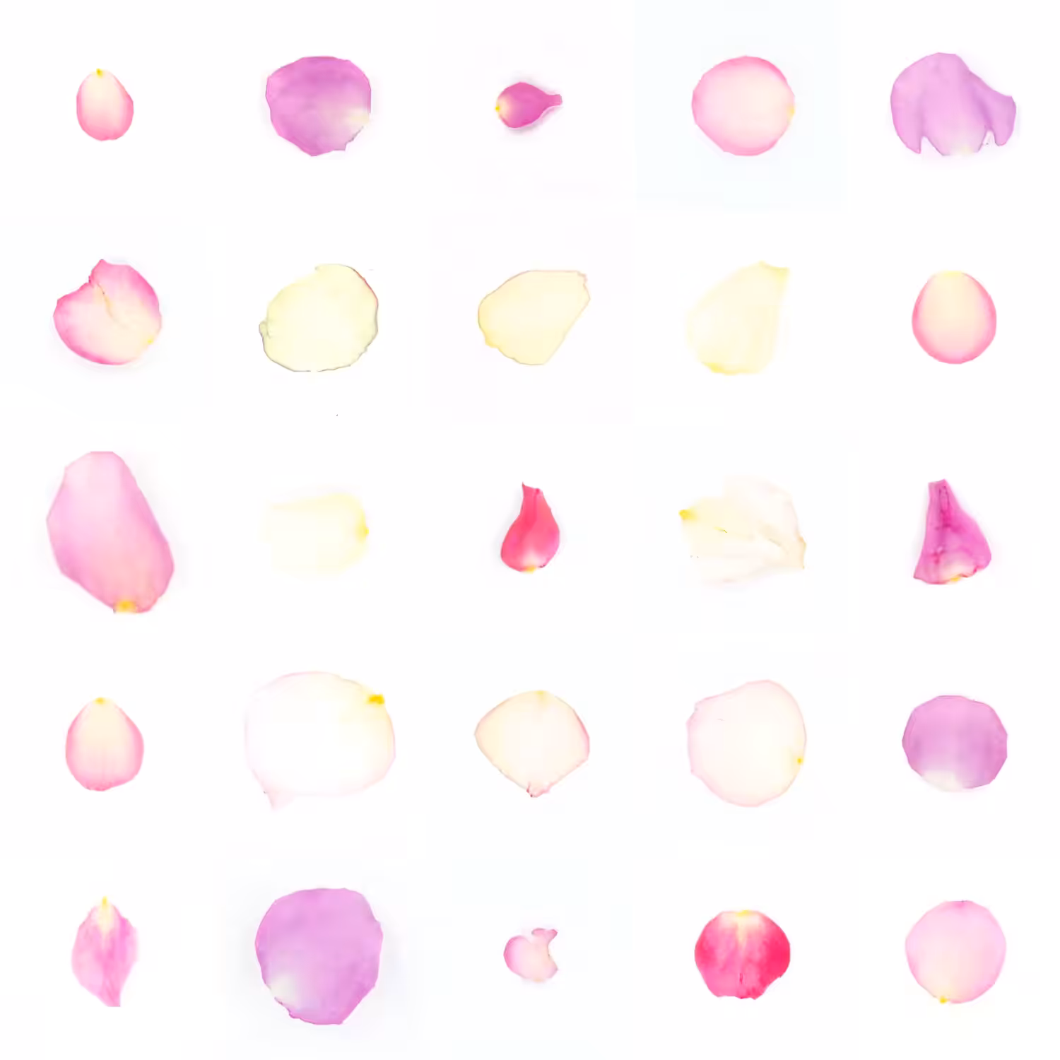 Infinite Petals 5x5#20468