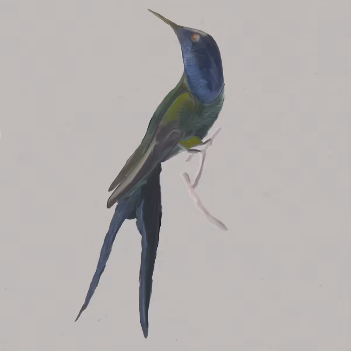 homage to susumu yokota