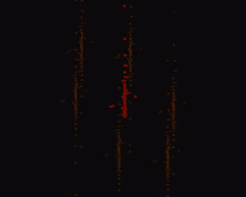 frame [064]