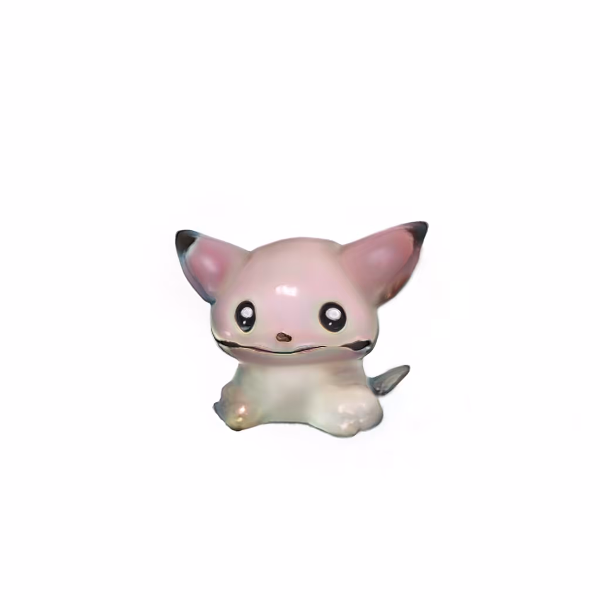Scoopii