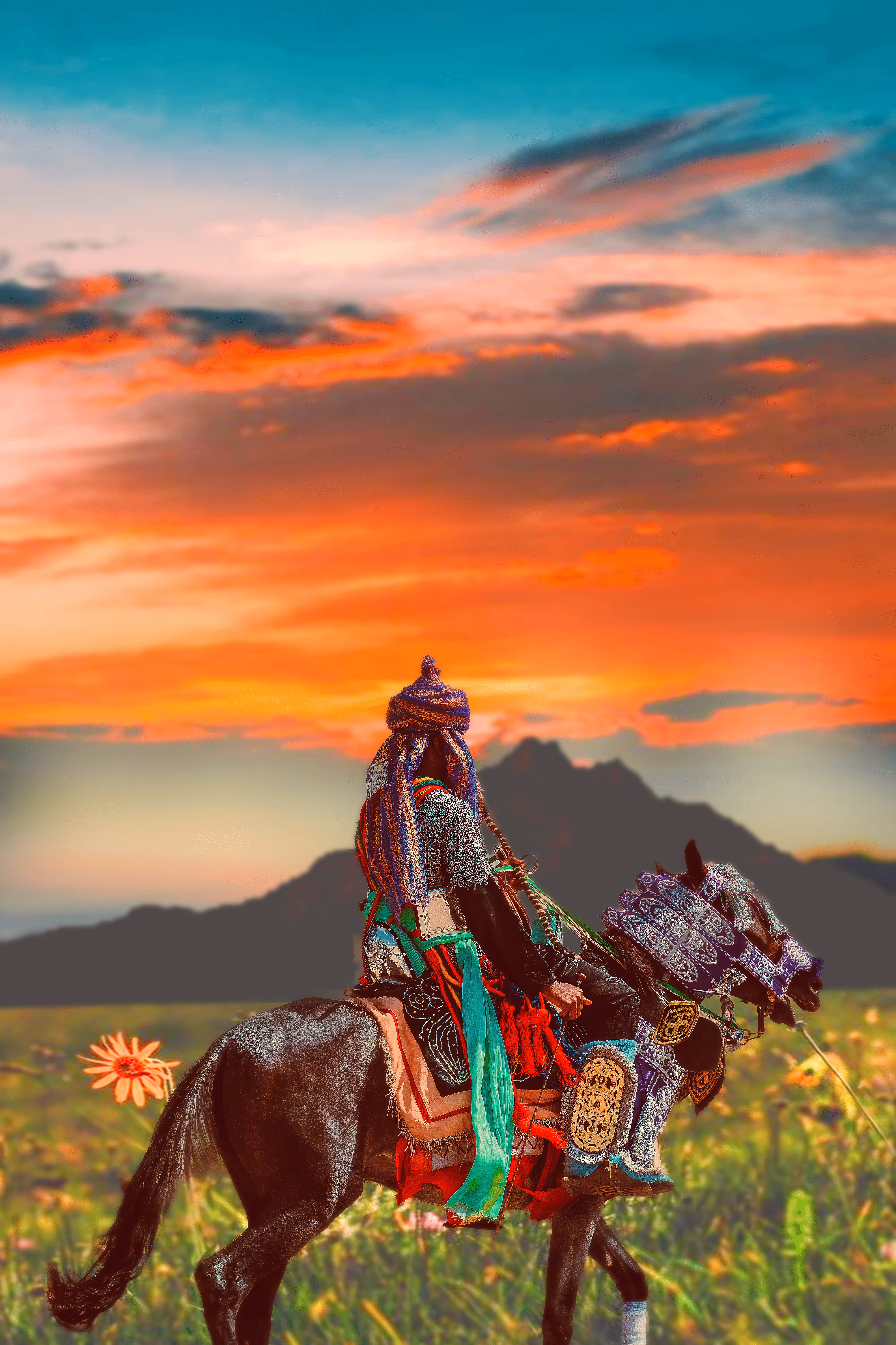 The Traveller