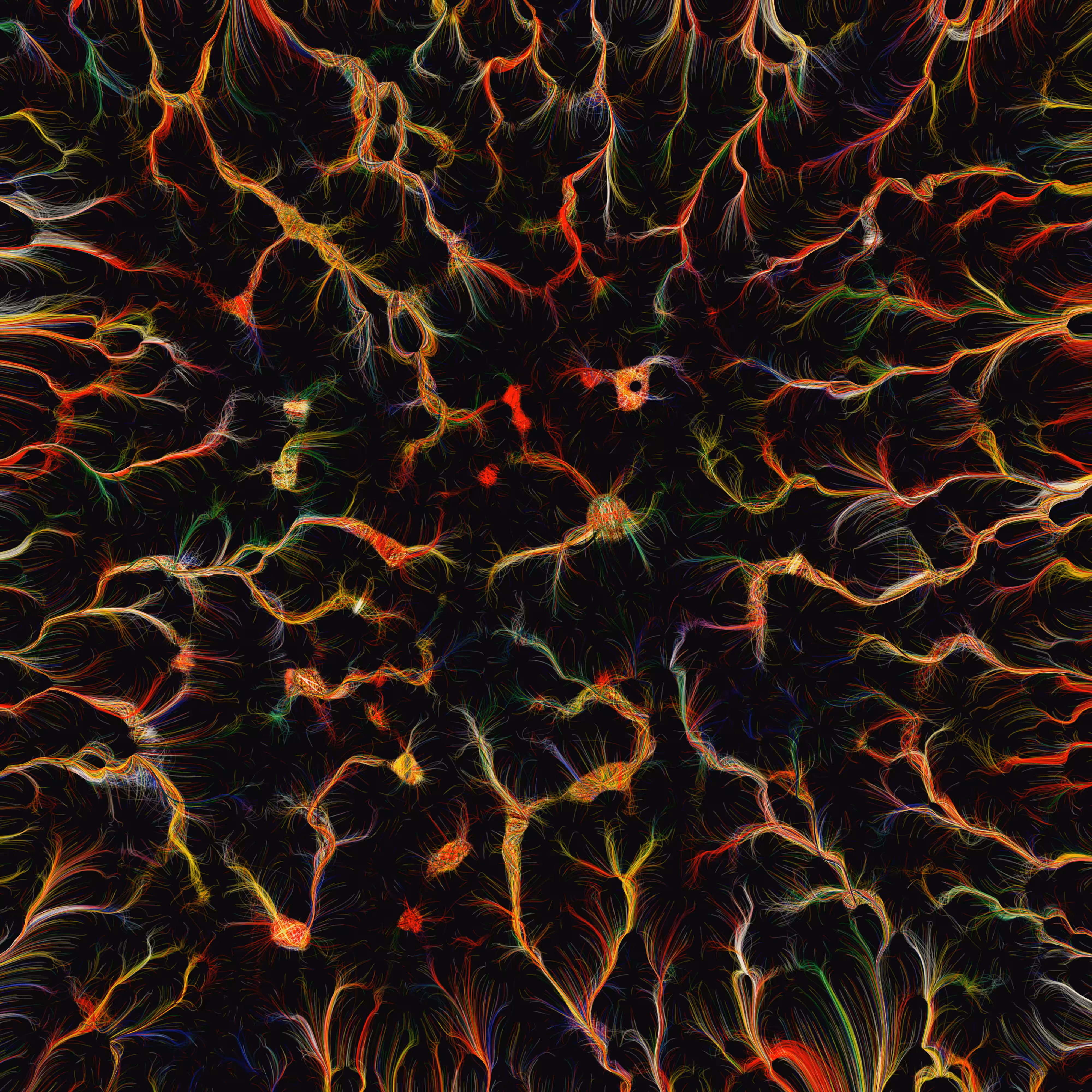 Growing Mind #5