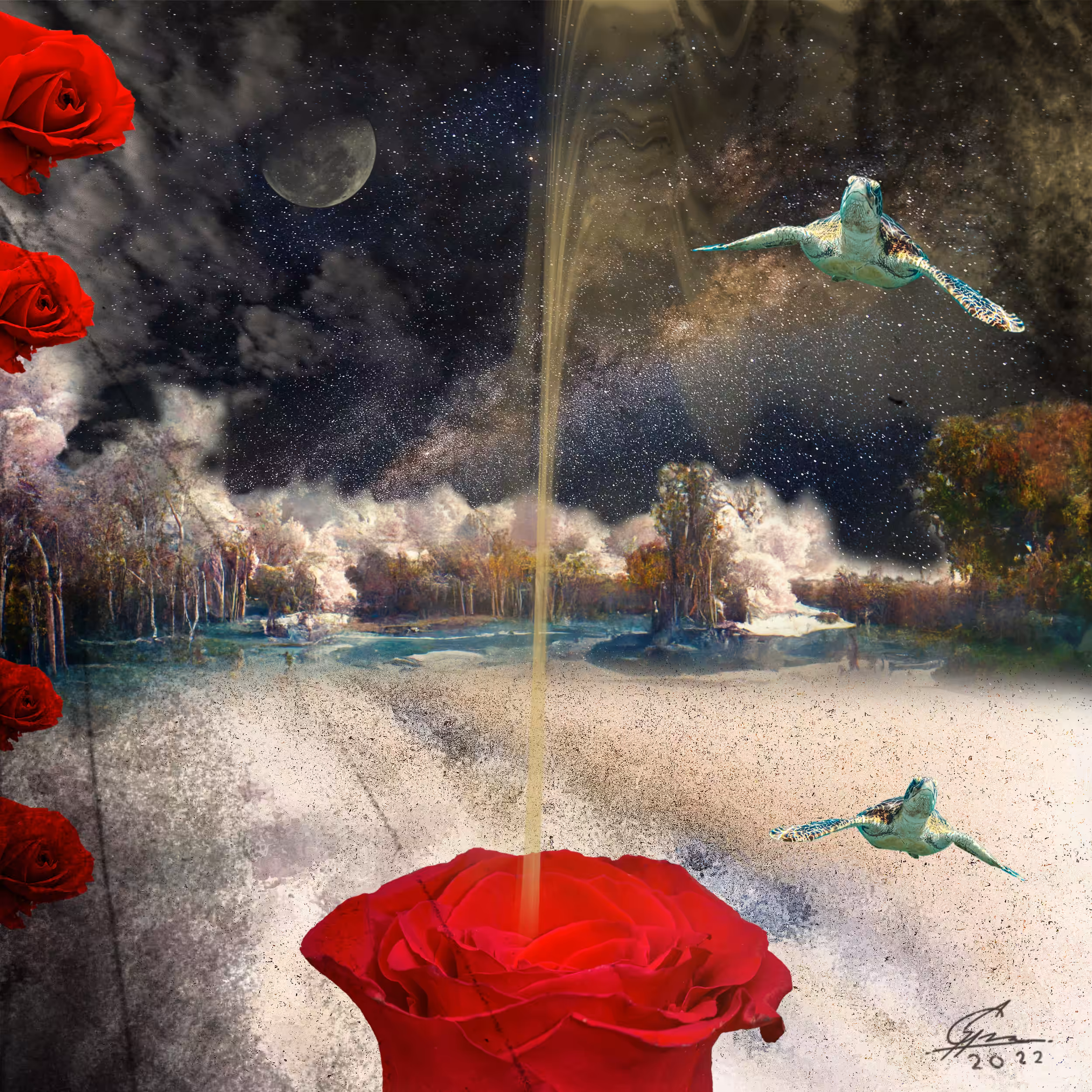 The Magical Pond #1/30
