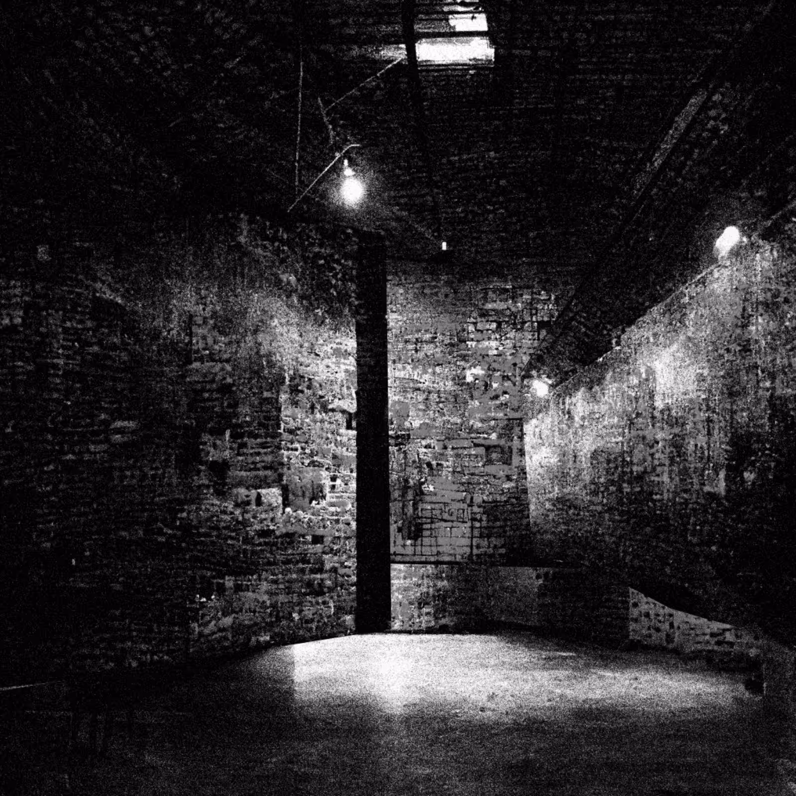 Liminal Newberry #85