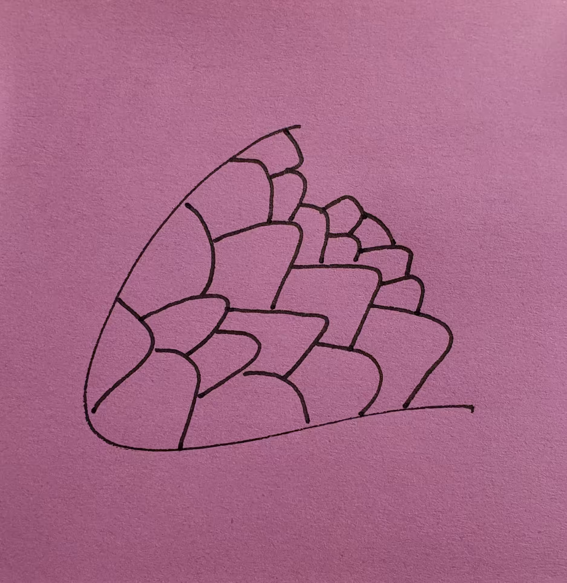 27