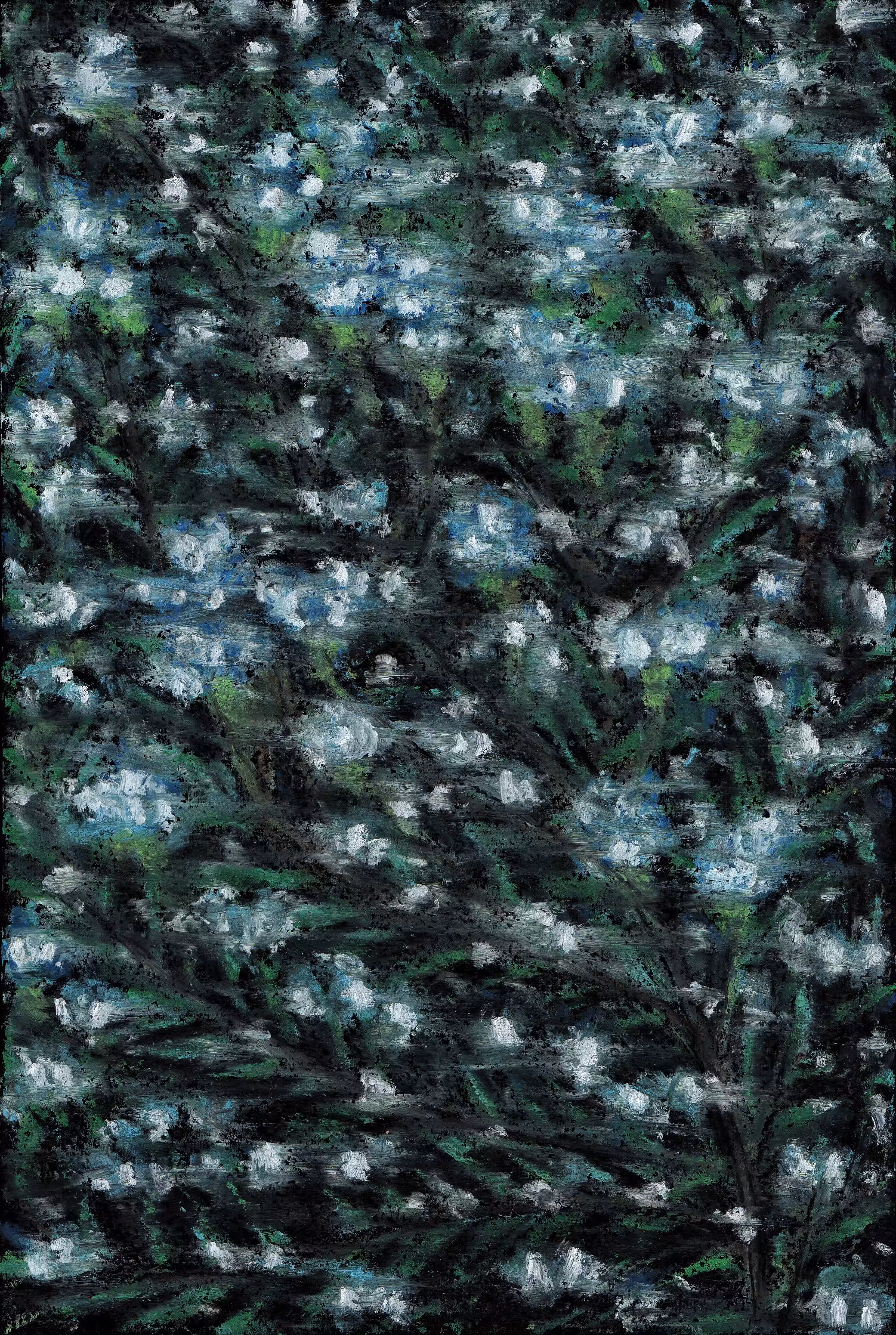 The Movement Of Rain