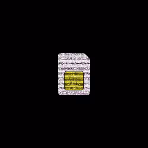 📱 TOKEN 29 - Lost SIM 3